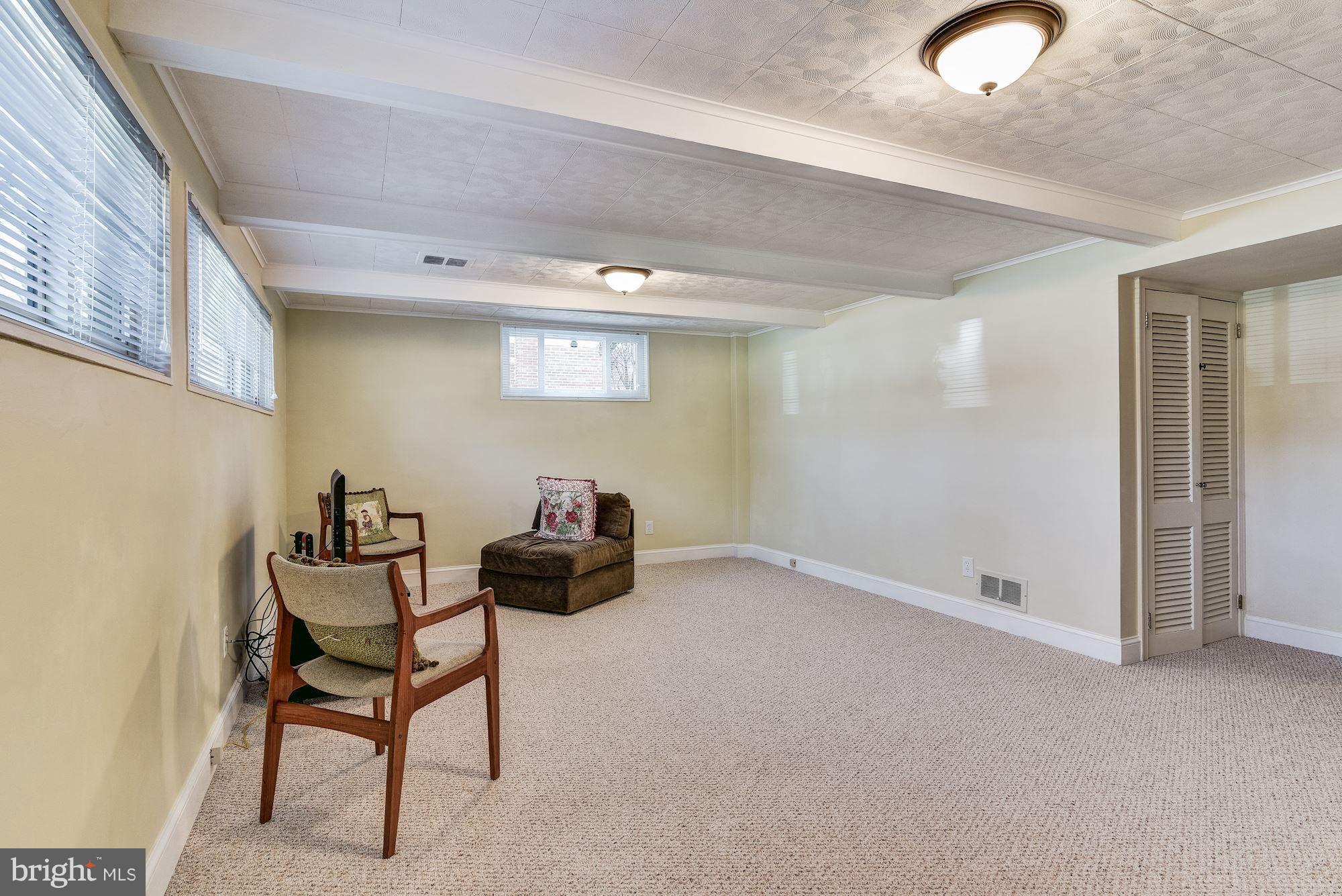 1802 Ladd Street Silver Spring, MD 20902 - Photo 19 of 29 Basement