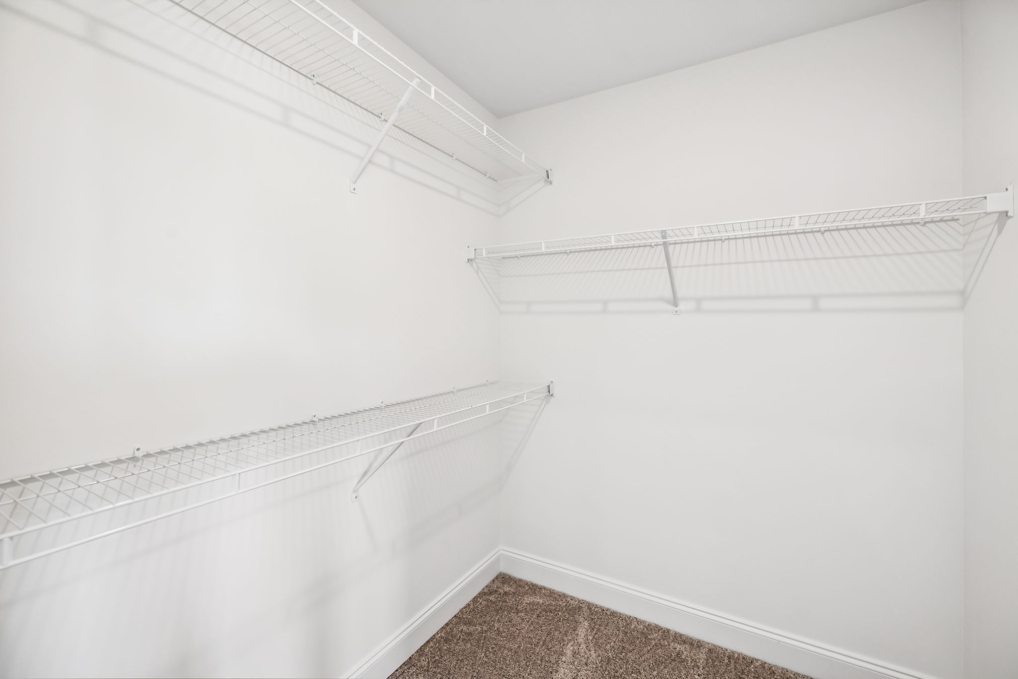 155 Emeline Way Mount Juliet, TN 37122 - Photo 24 of 66