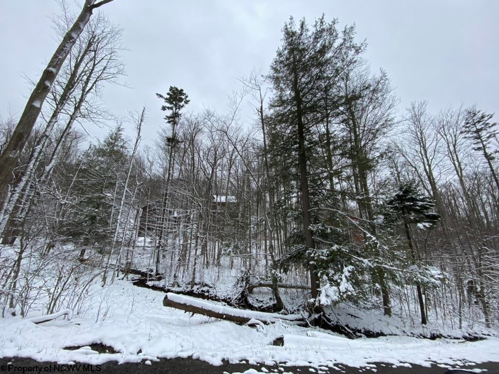 59 Slopeside Road Davis, WV 26260 - Photo 17 of 44 Gallery Image 17