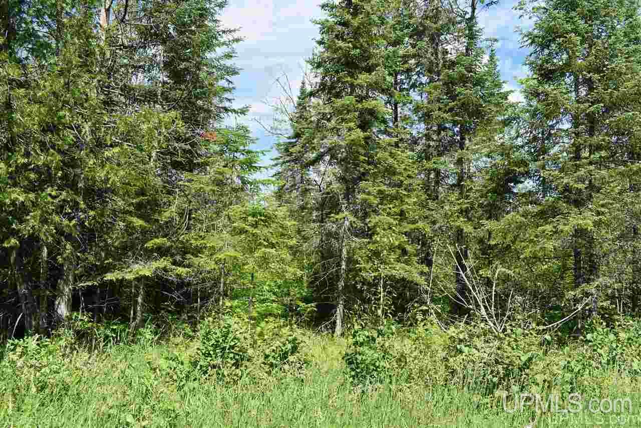 Tbd Co Rd 503 Cc Rapid River, MI 49878 - Photo 2 of 3