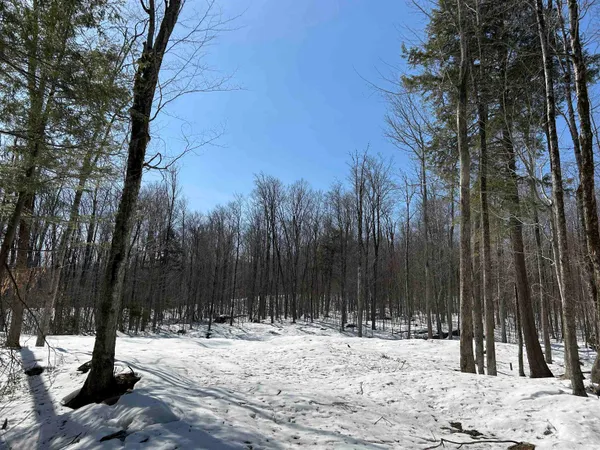 $395,000 | Lot#2 Margeaux Lane, Jamaica, VT 05343