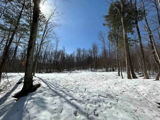 $470,000 | Lot#2 Margeaux Lane, Jamaica, VT 05343