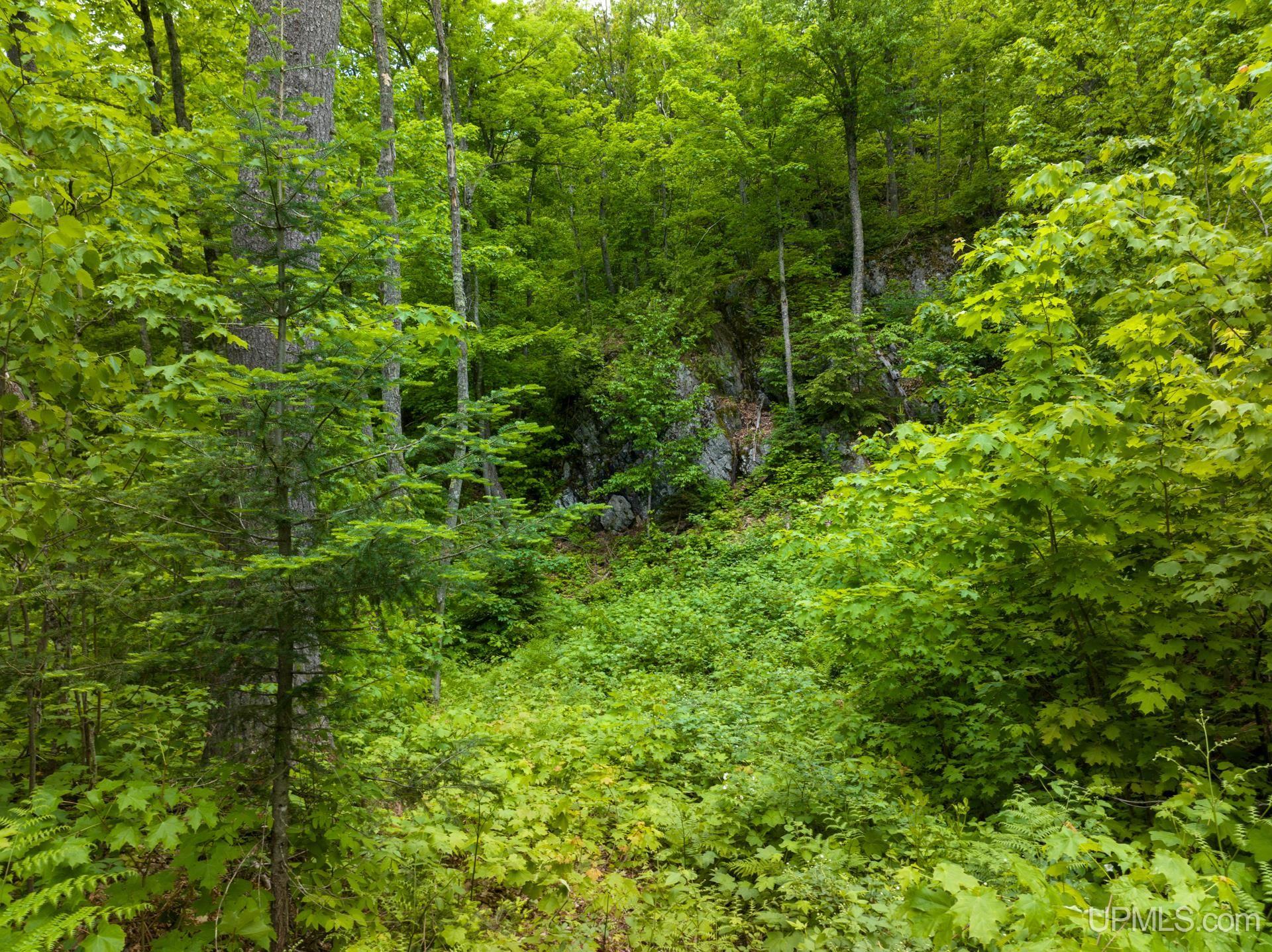 Tbd Tbd Co Road Negaunee, MI 49866 - Photo 4 of 47