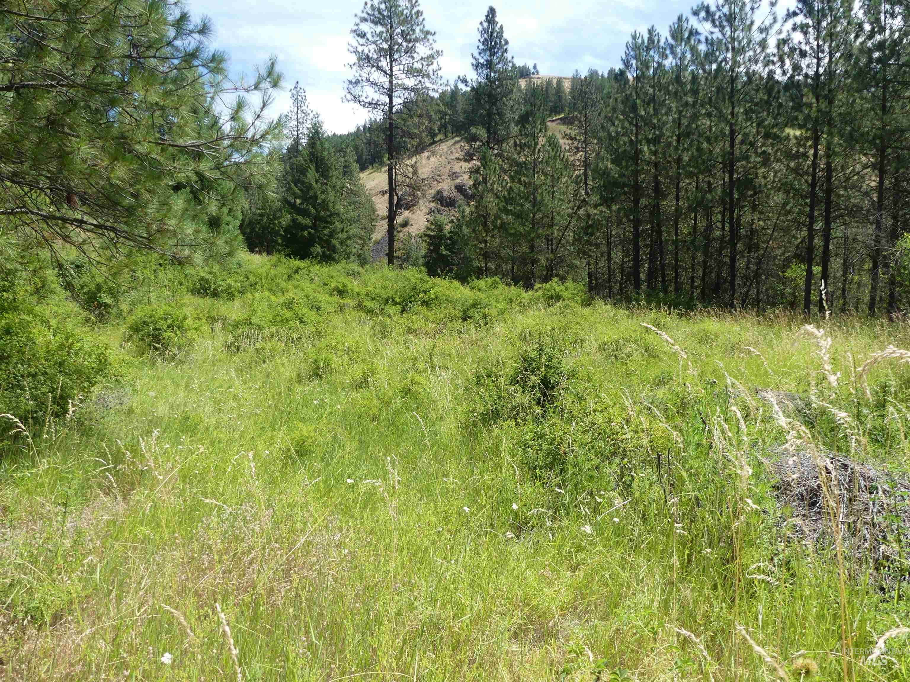 46601 Little Canyon Road Orofino, ID 83544 - Photo 19 of 46