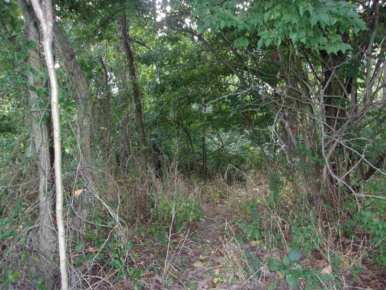 0 T T Wenz Road Dover, KY 41034 - Photo 16 of 35 Gallery Image 16