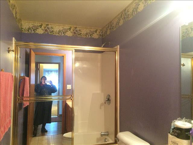 1115 West Newburg Road Carleton, MI 48117 - Photo 18 of 19 2nd. Bathroom
