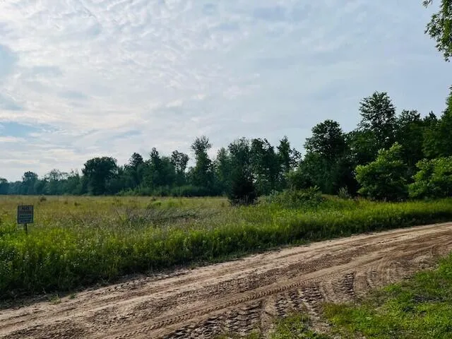 $136,000 | 264 South 152nd Avenue, Unit 20 ACRES VACANT LAND SOUTH, Shelby, MI 49455