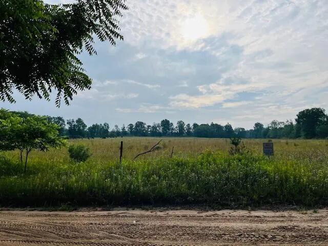$136,000 | 264 South 152nd Avenue, Unit 20 ACRES VACANT LAND SOUTH, Shelby, MI 49455