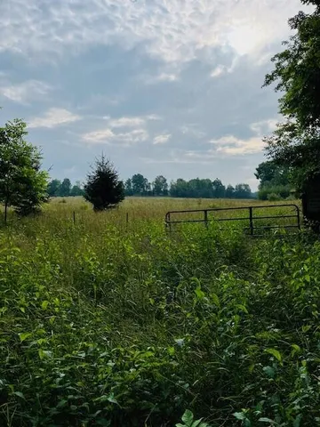 $136,000 | 264 South 152nd Avenue, Unit 20 ACRES VACANT LAND SOUTH, Shelby, MI 49455