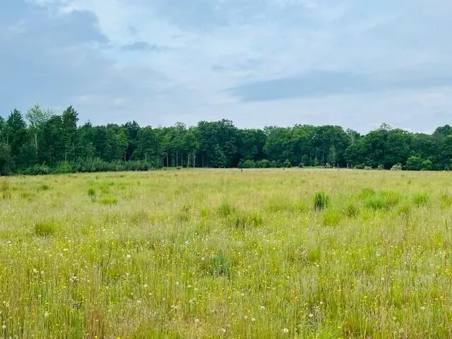 $136,000 | 264 South 152nd Avenue, Unit 20 ACRES VACANT LAND SOUTH, Shelby, MI 49455