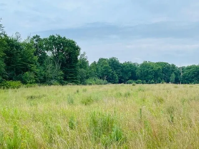 $136,000 | 264 South 152nd Avenue, Unit 20 ACRES VACANT LAND SOUTH, Shelby, MI 49455