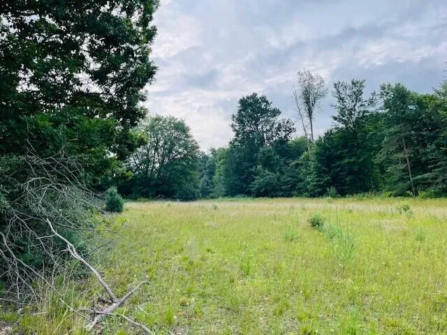 $136,000 | 264 South 152nd Avenue, Unit 20 ACRES VACANT LAND SOUTH, Shelby, MI 49455
