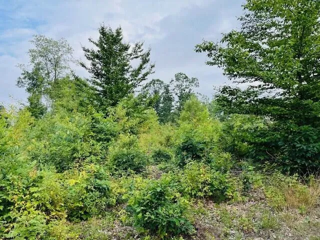 $136,000 | 264 South 152nd Avenue, Unit 20 ACRES VACANT LAND SOUTH, Shelby, MI 49455