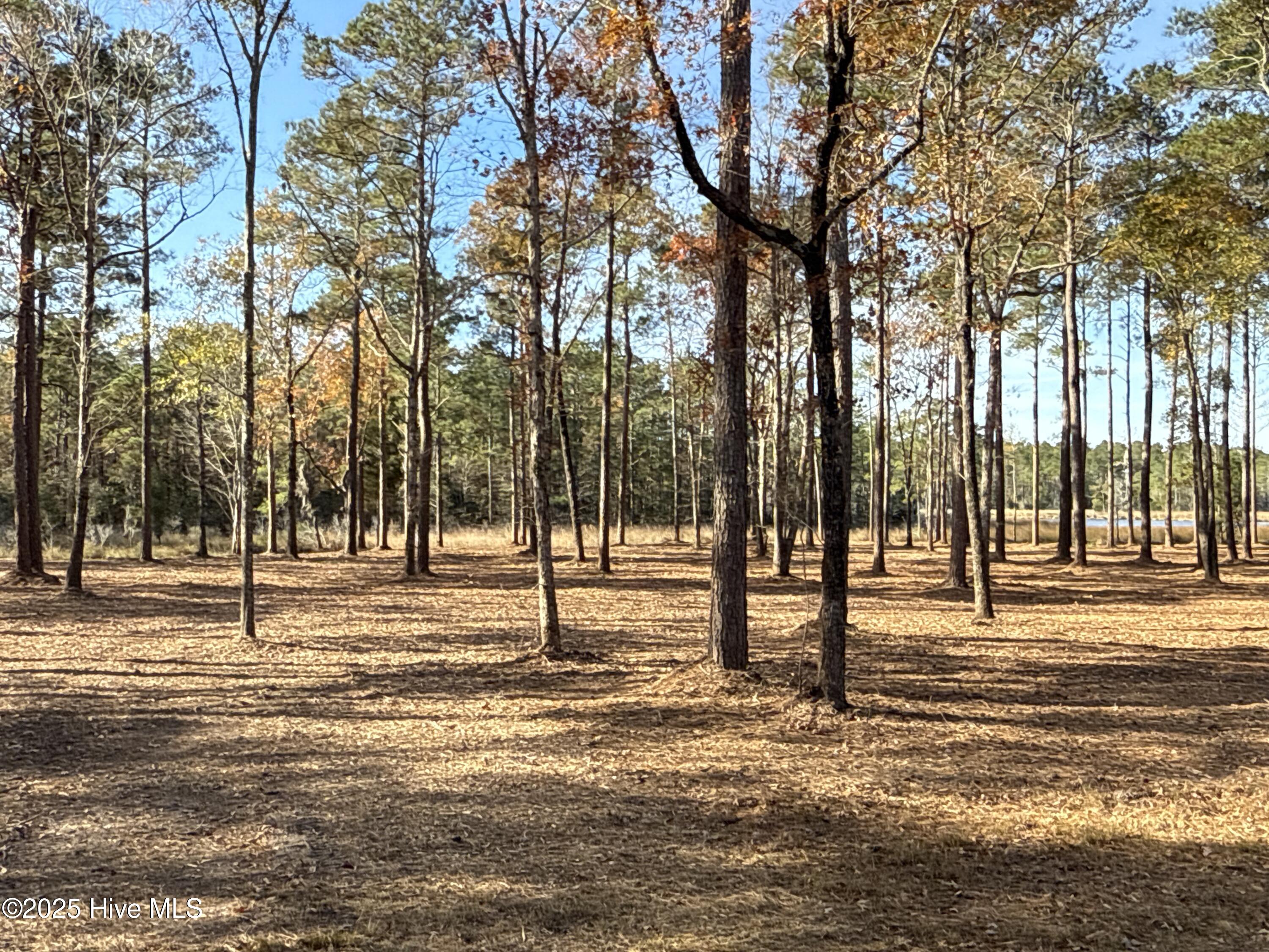 0 Norfleet Shores Road Belhaven, NC 27810 - Photo 11 of 39 IMG_0811 2