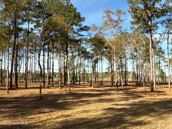 $4,900,000 | 0 Norfleet Shores Road, Belhaven, NC 27810