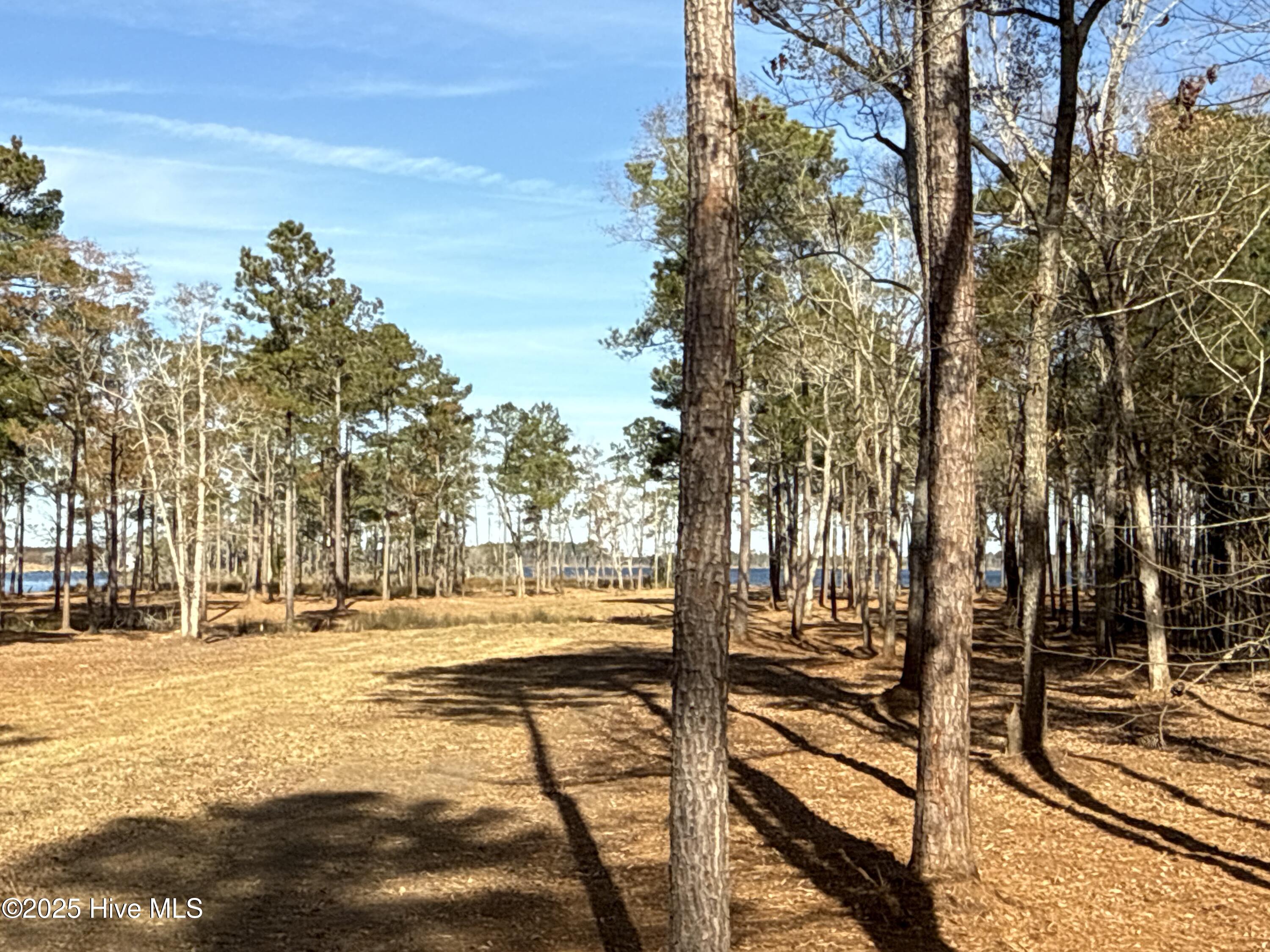 0 Norfleet Shores Road Belhaven, NC 27810 - Photo 13 of 39 IMG_0813 2