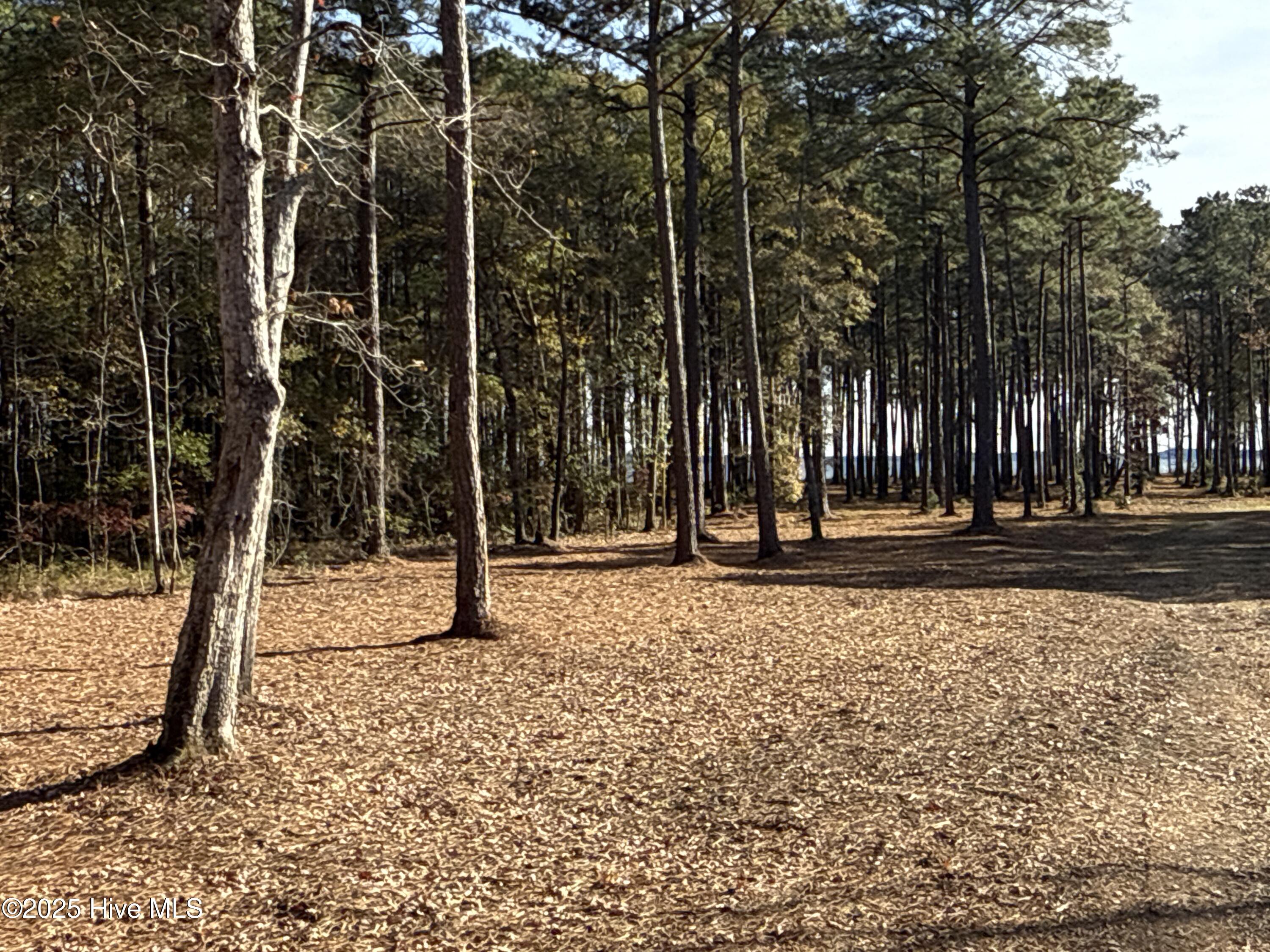 0 Norfleet Shores Road Belhaven, NC 27810 - Photo 14 of 39 IMG_0814 2