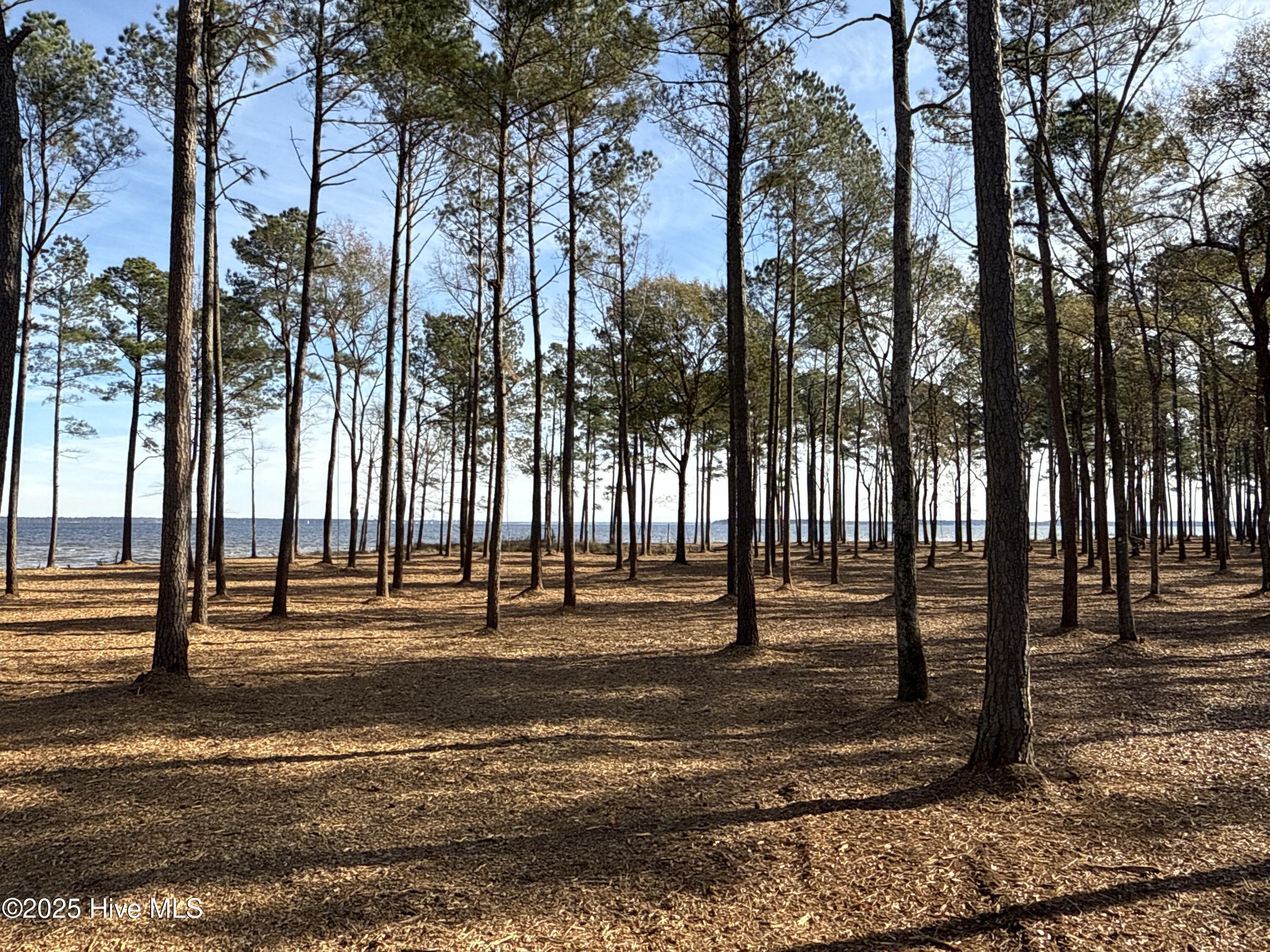 0 Norfleet Shores Road Belhaven, NC 27810 - Photo 18 of 39 IMG_0818 2