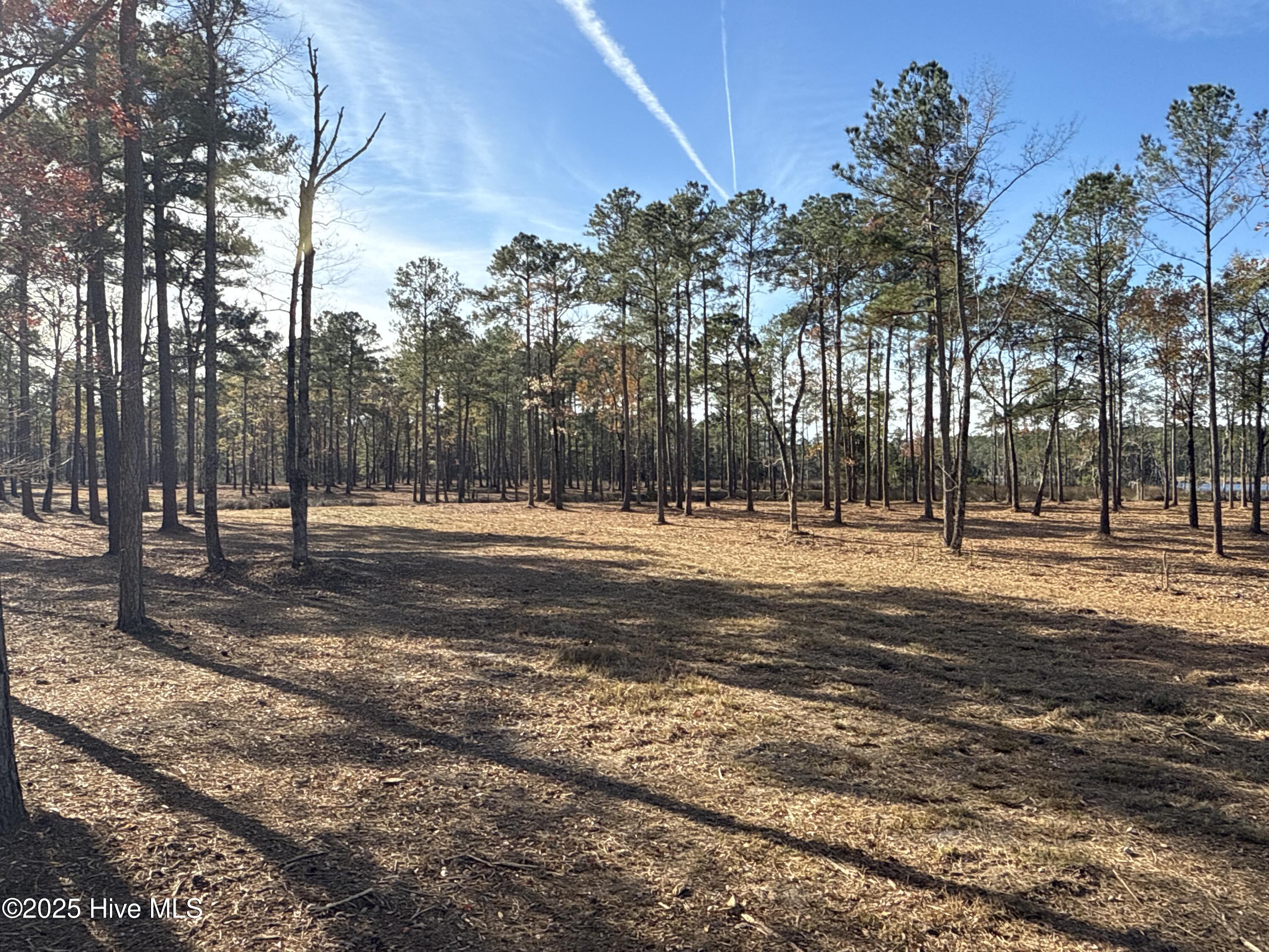 0 Norfleet Shores Road Belhaven, NC 27810 - Photo 20 of 39 IMG_0820 2