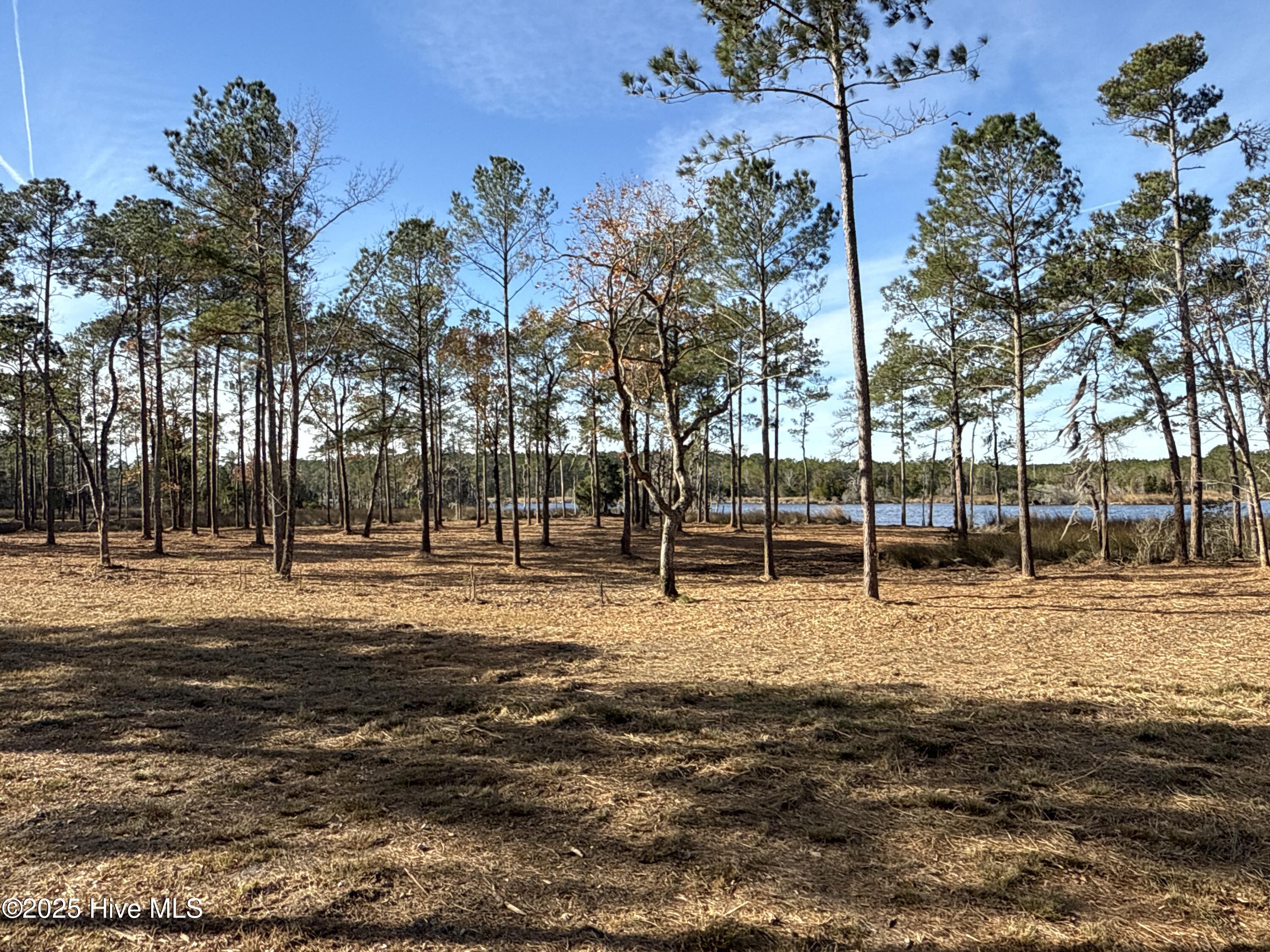 0 Norfleet Shores Road Belhaven, NC 27810 - Photo 21 of 39 IMG_0821 2