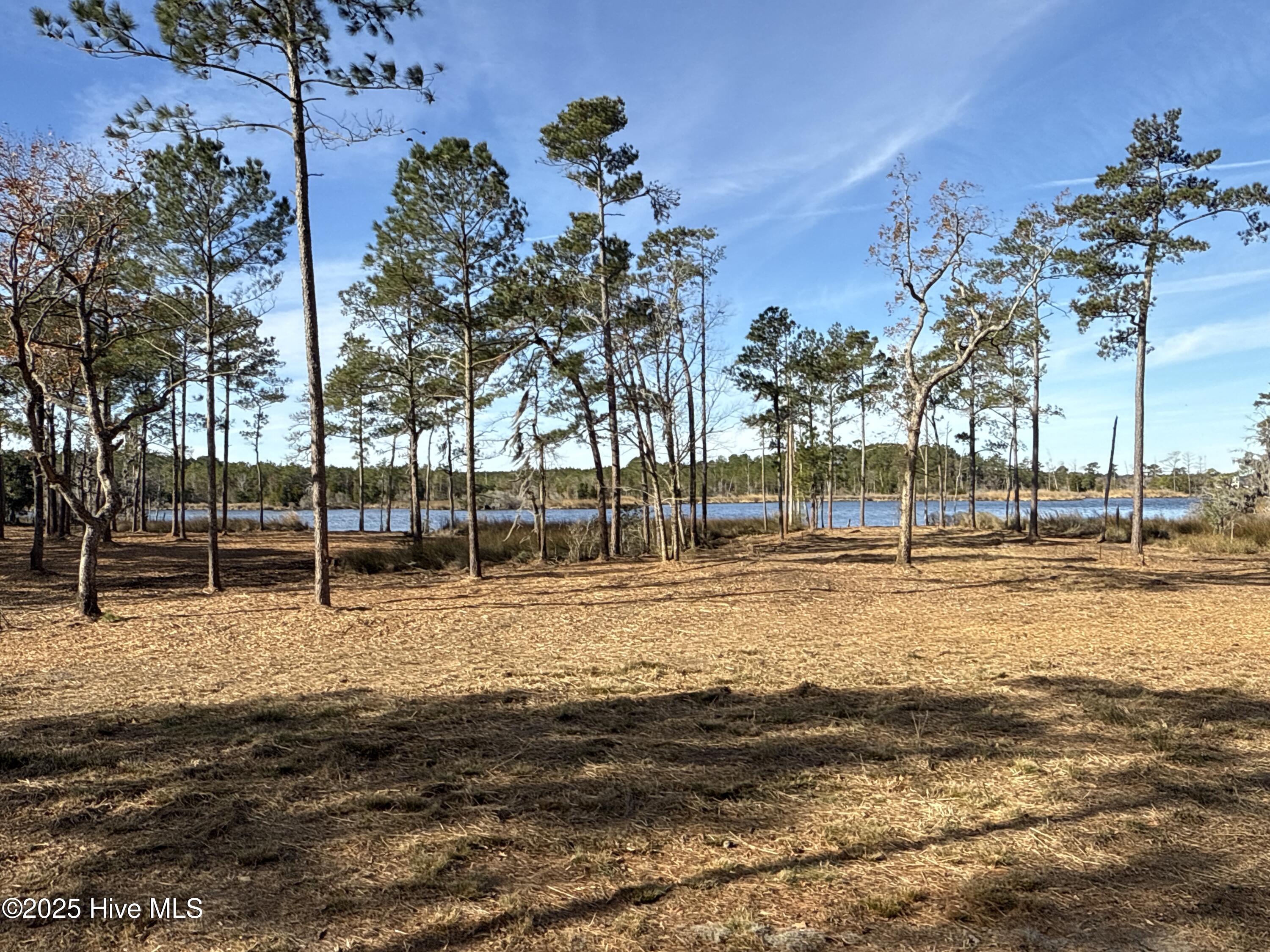 0 Norfleet Shores Road Belhaven, NC 27810 - Photo 22 of 39 IMG_0822 2