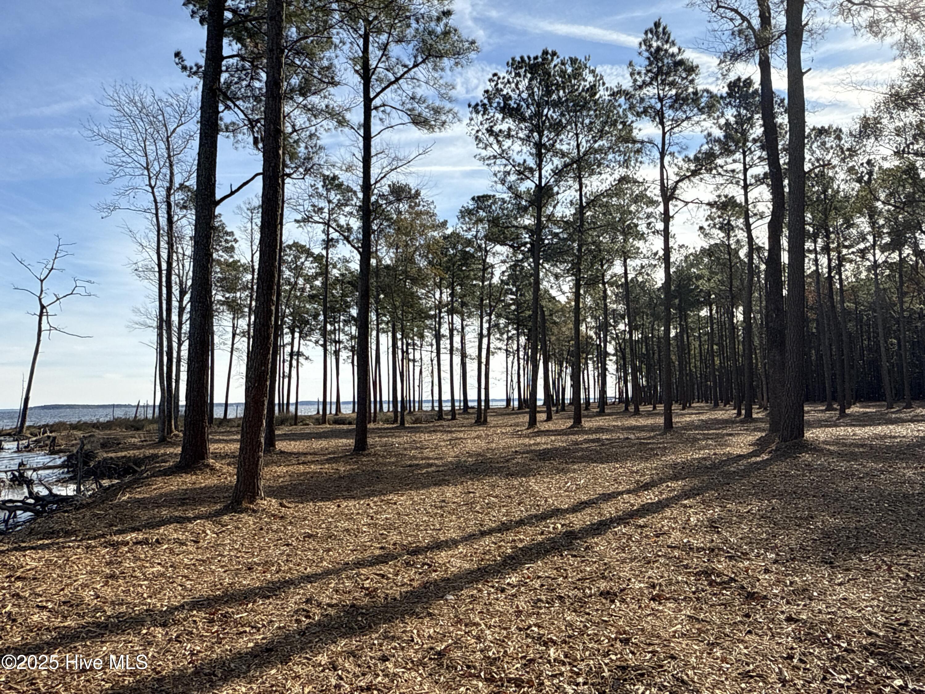 0 Norfleet Shores Road Belhaven, NC 27810 - Photo 24 of 39 IMG_0824 2