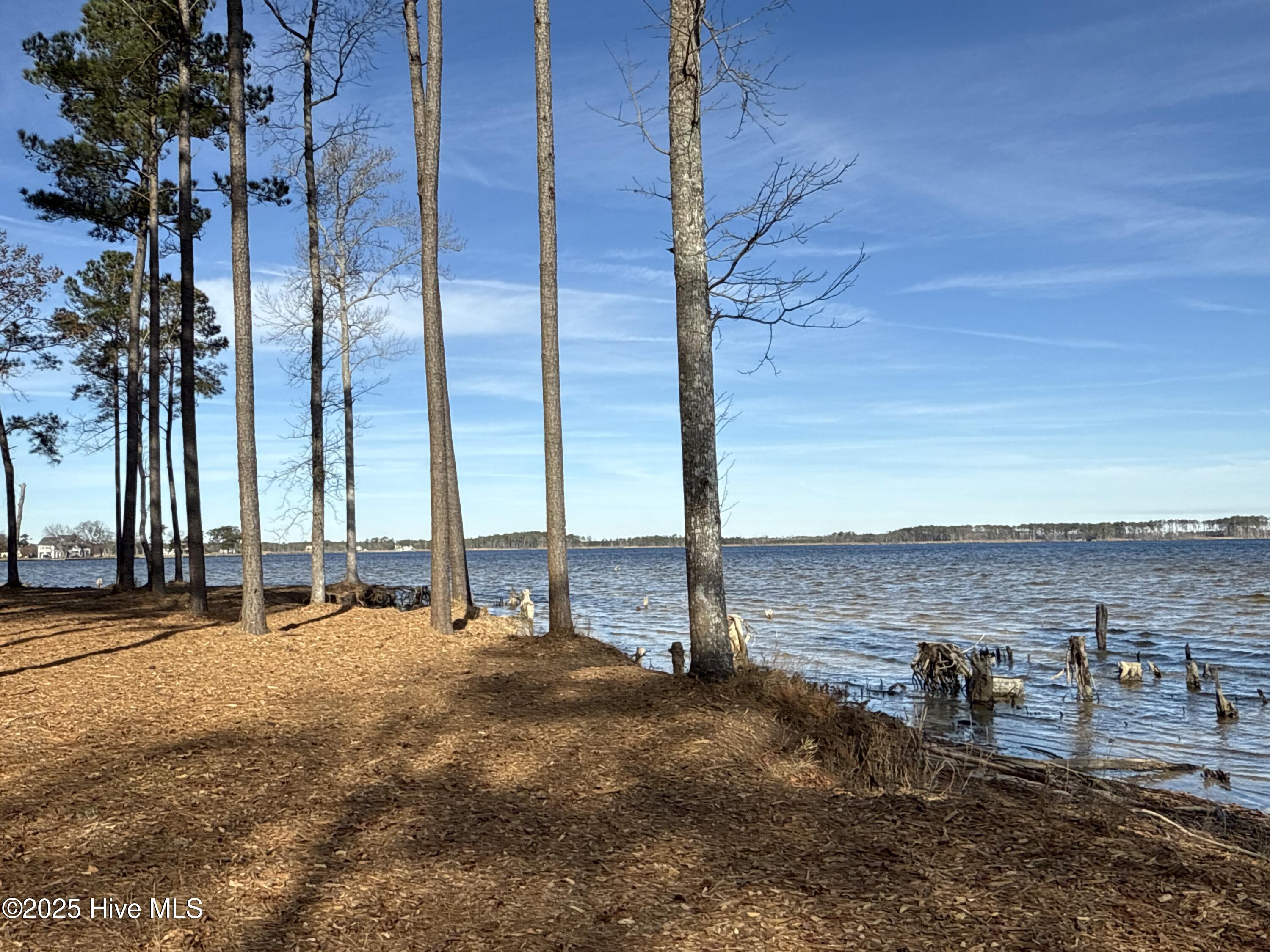 0 Norfleet Shores Road Belhaven, NC 27810 - Photo 28 of 39 IMG_0828 2