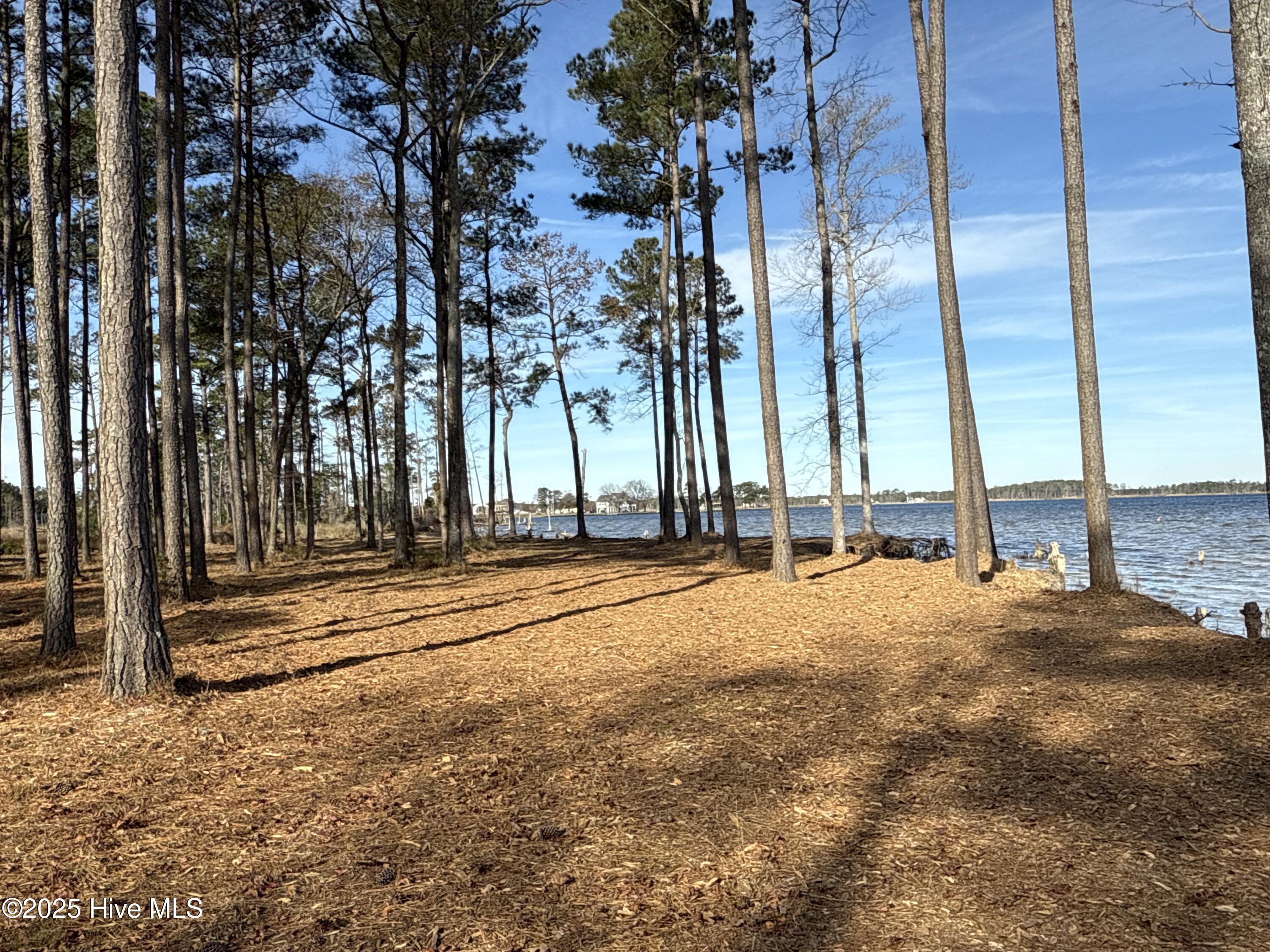 0 Norfleet Shores Road Belhaven, NC 27810 - Photo 29 of 39 IMG_0829 2