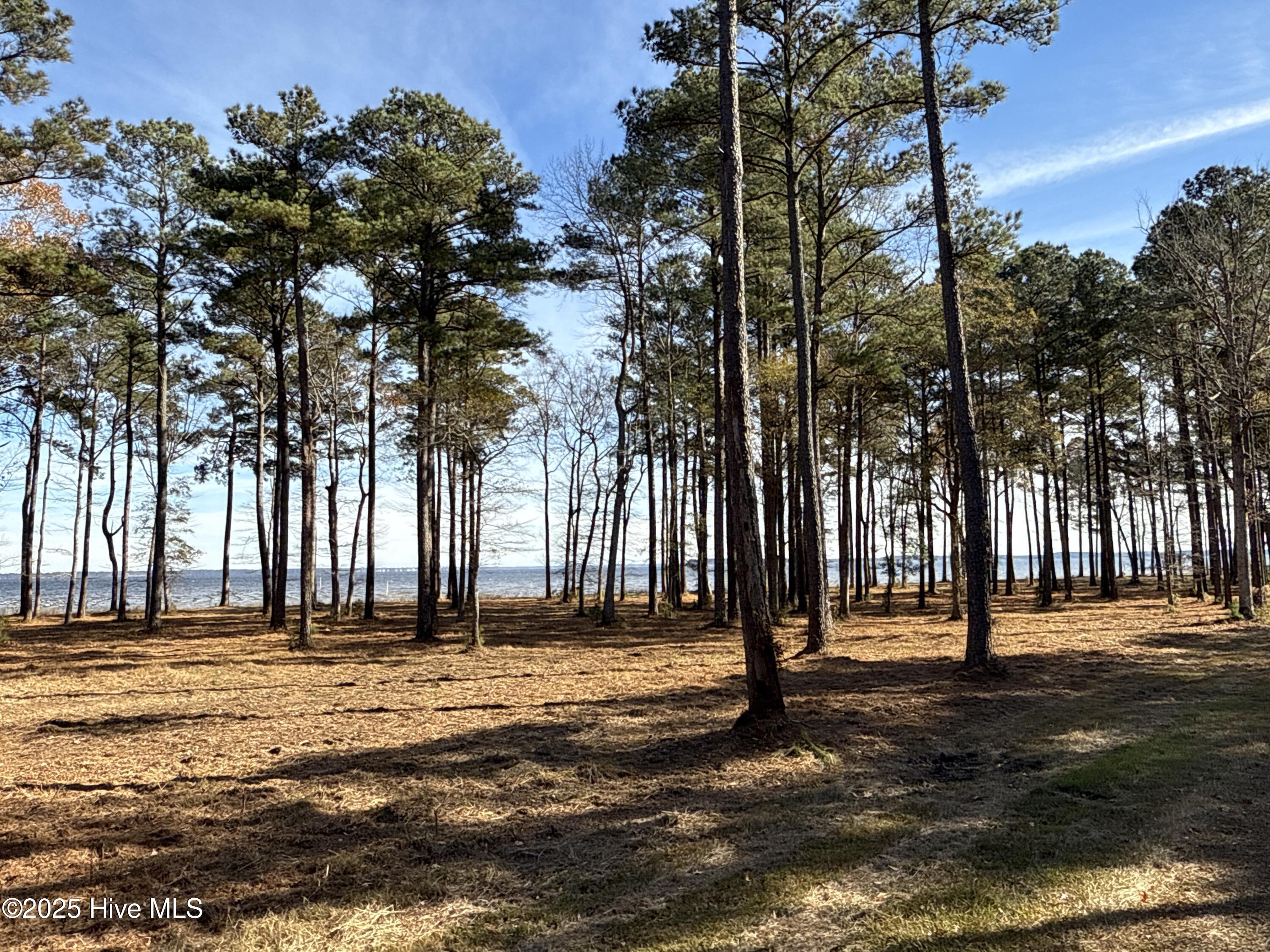 0 Norfleet Shores Road Belhaven, NC 27810 - Photo 31 of 39 IMG_0831 2