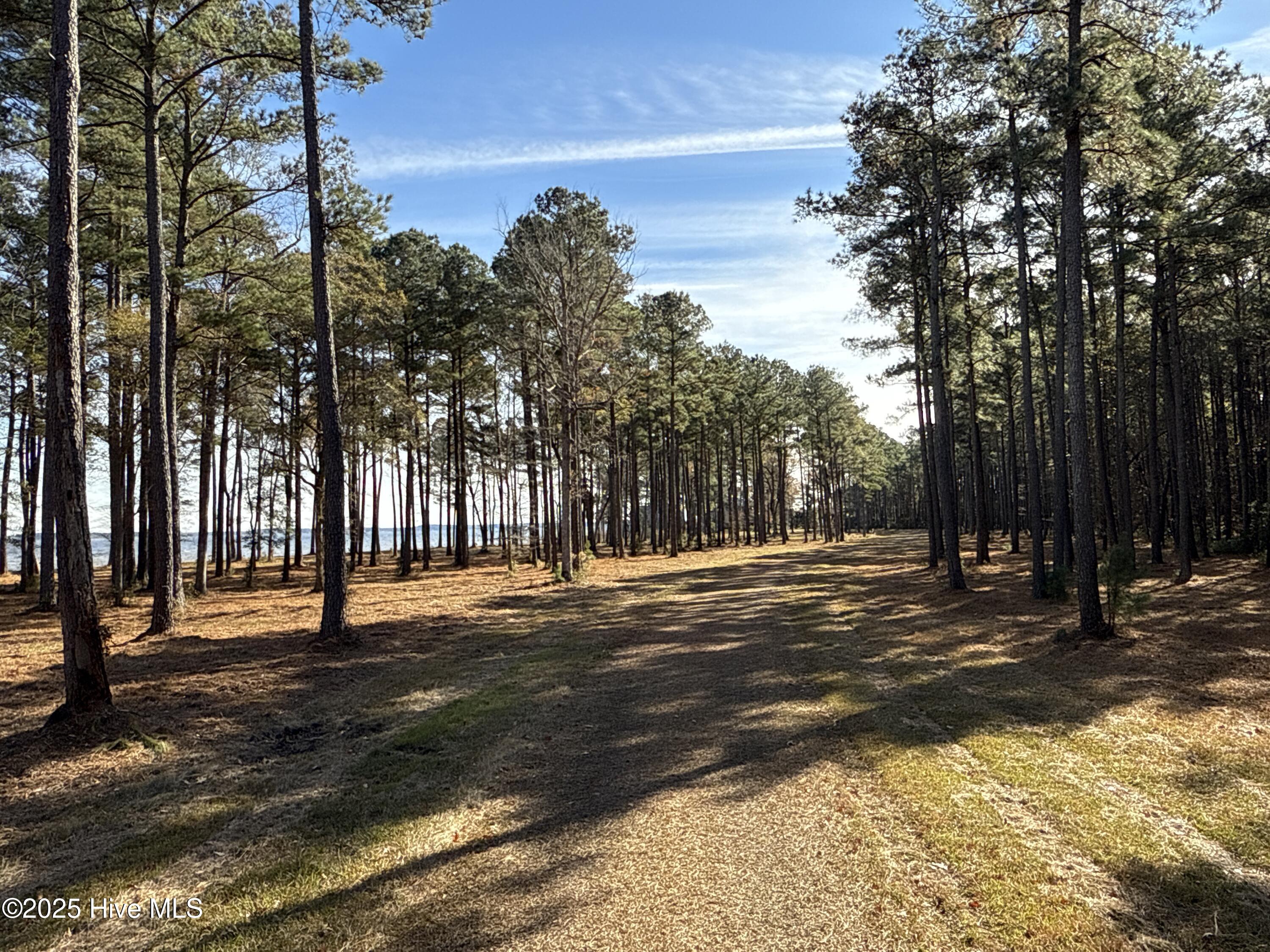 0 Norfleet Shores Road Belhaven, NC 27810 - Photo 32 of 39 IMG_0832 2
