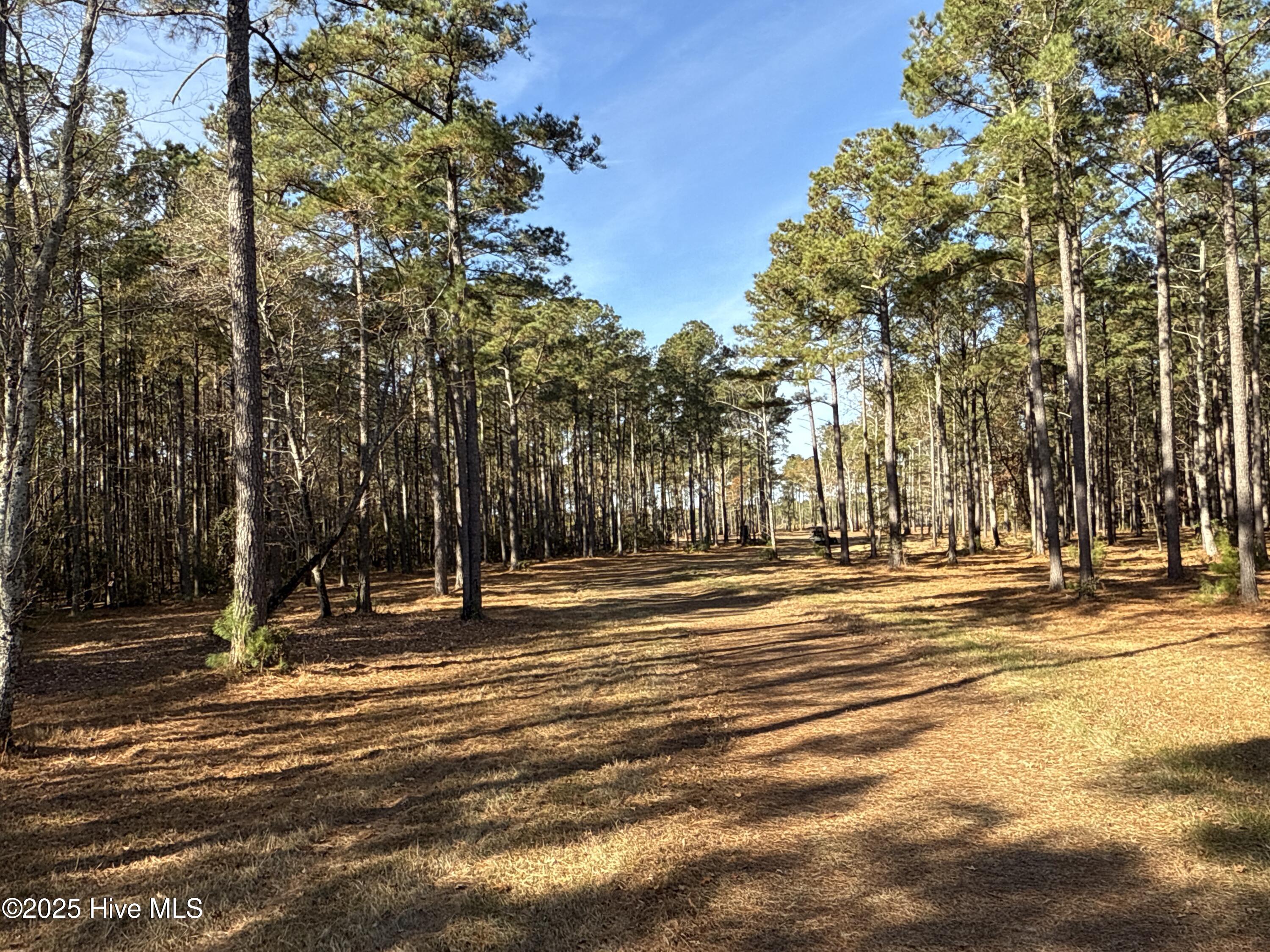 0 Norfleet Shores Road Belhaven, NC 27810 - Photo 33 of 39 IMG_0833 2