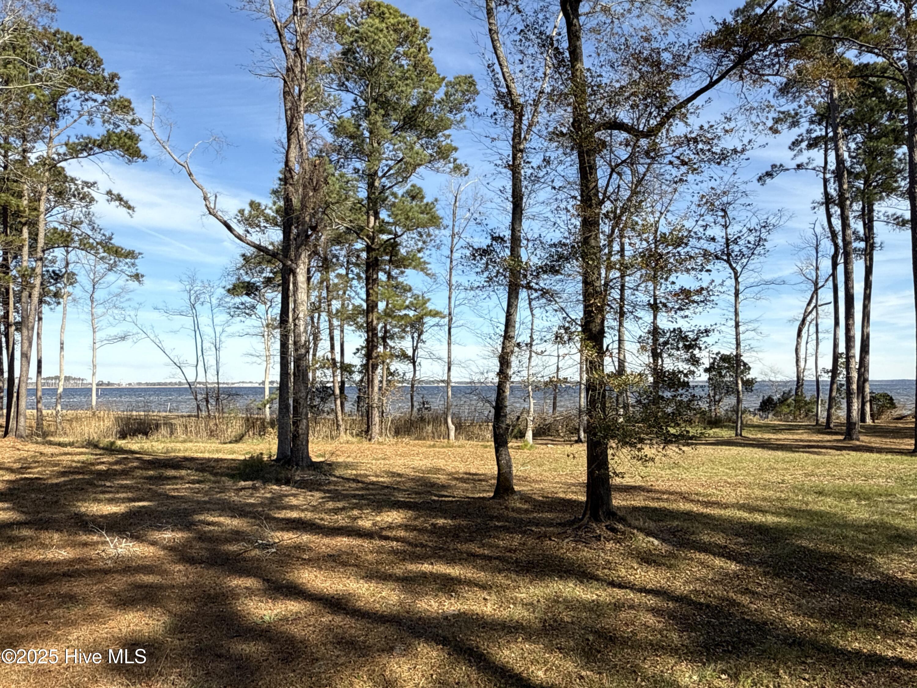 0 Norfleet Shores Road Belhaven, NC 27810 - Photo 35 of 39 IMG_0836 2