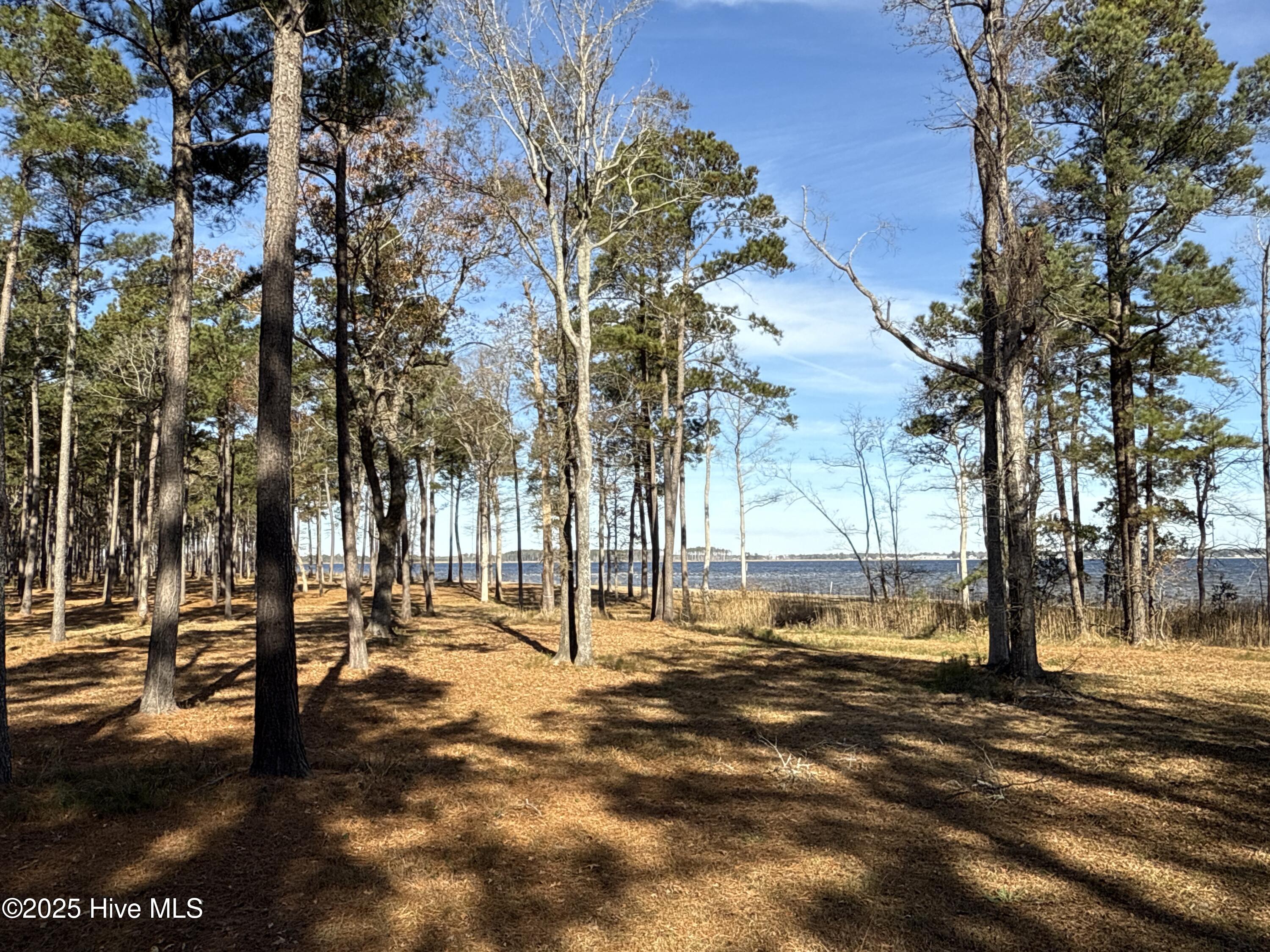 0 Norfleet Shores Road Belhaven, NC 27810 - Photo 36 of 39 IMG_0837 2