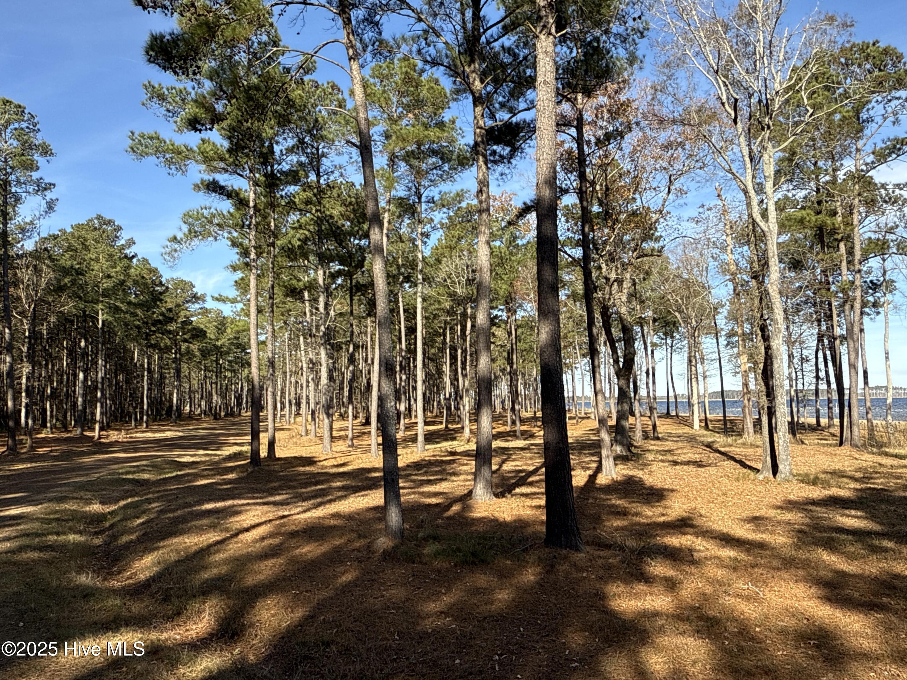 0 Norfleet Shores Road Belhaven, NC 27810 - Photo 37 of 39 IMG_0838 2