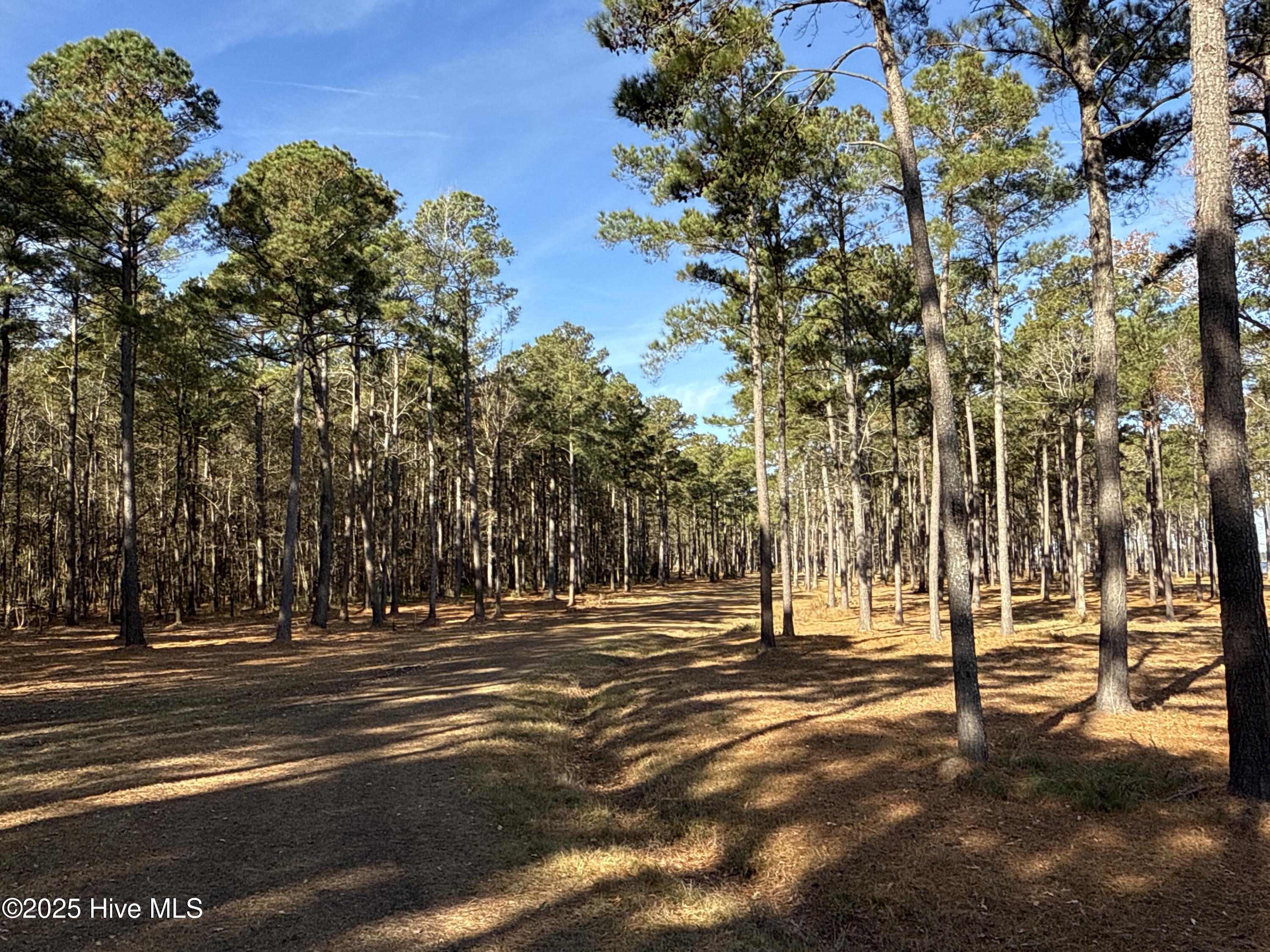 0 Norfleet Shores Road Belhaven, NC 27810 - Photo 38 of 39 IMG_0839 2