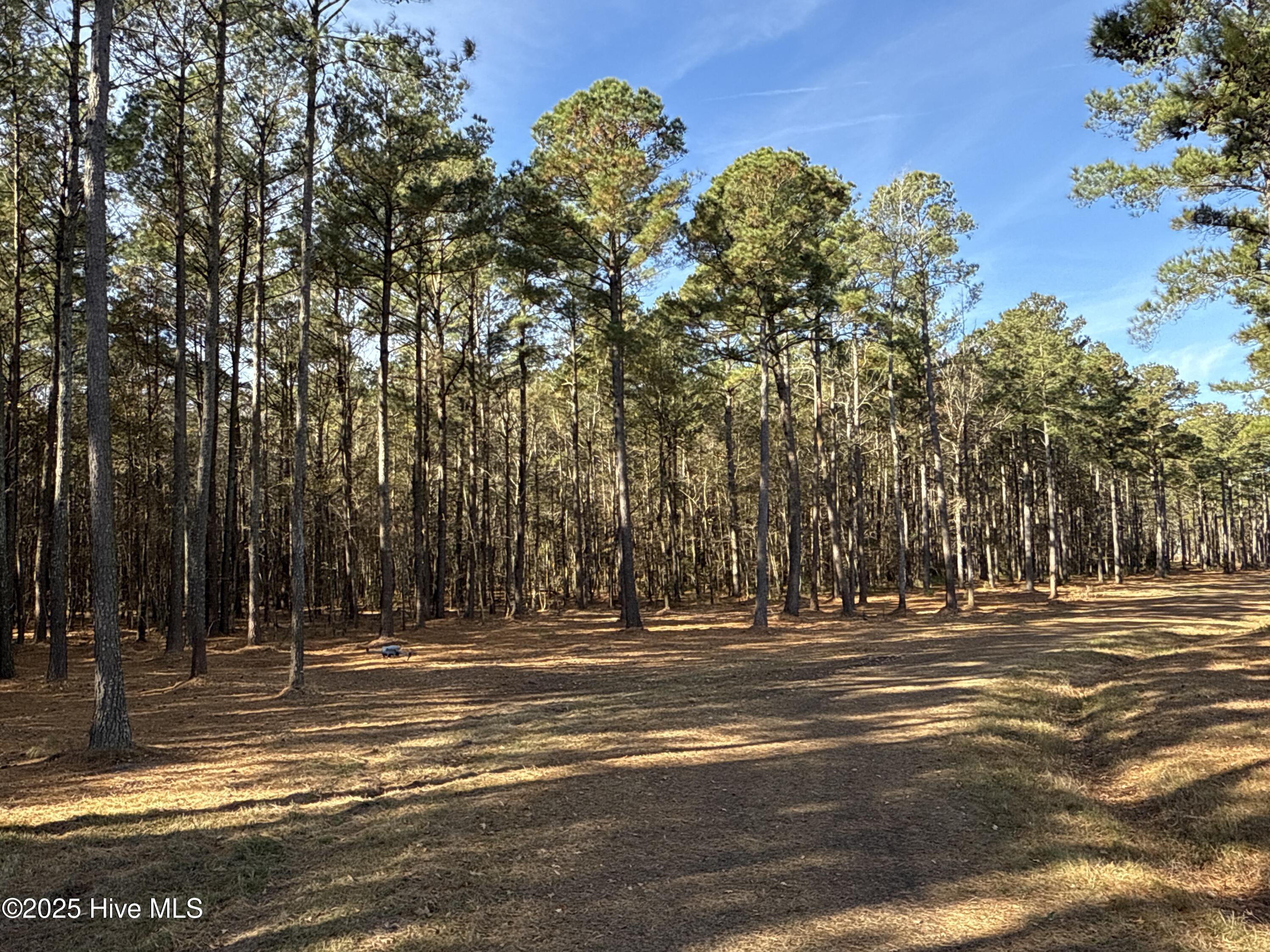 0 Norfleet Shores Road Belhaven, NC 27810 - Photo 39 of 39 IMG_0840 3
