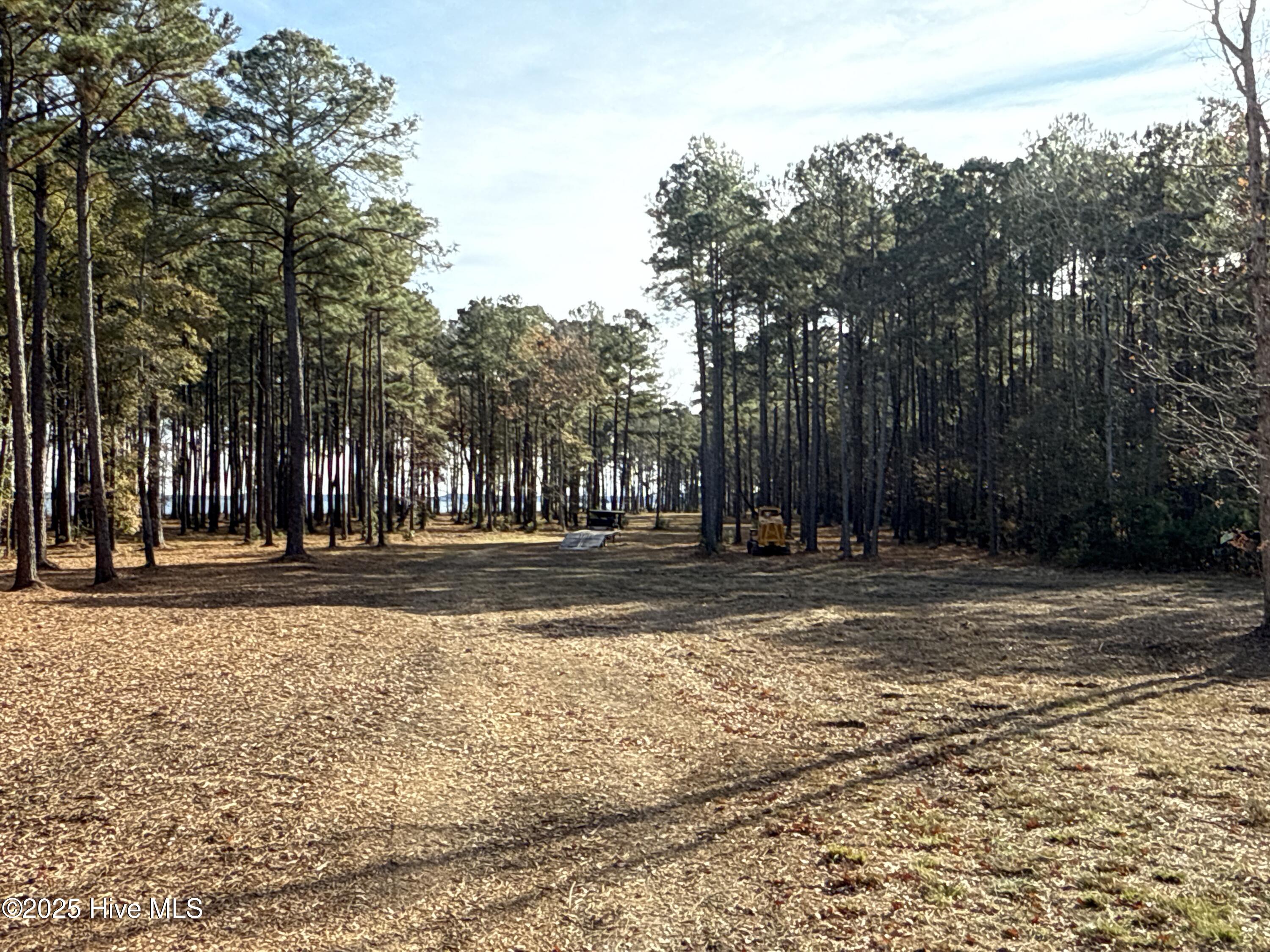 0 Norfleet Shores Road Belhaven, NC 27810 - Photo 8 of 39 IMG_0808 3