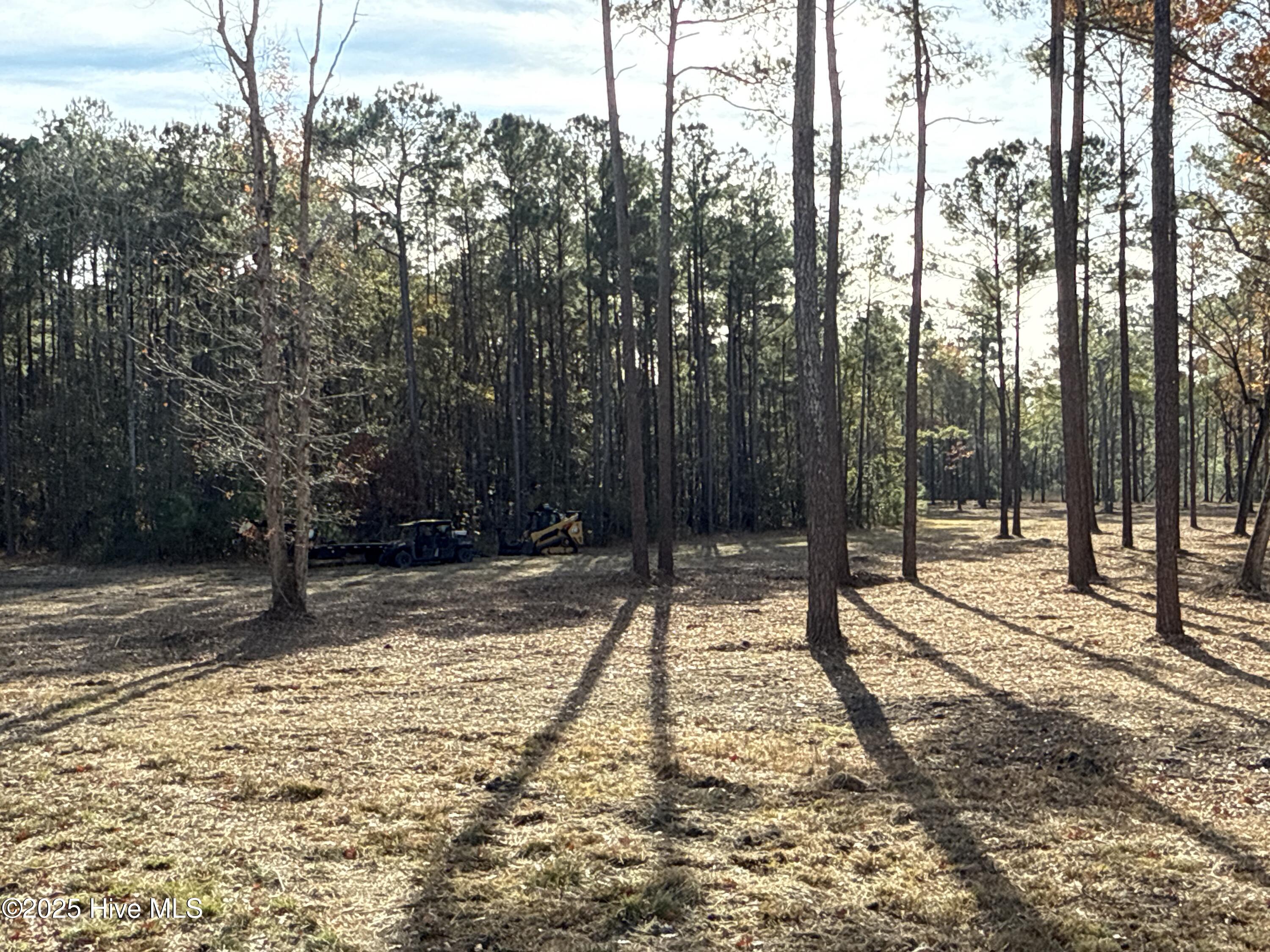 0 Norfleet Shores Road Belhaven, NC 27810 - Photo 9 of 39 IMG_0809 2