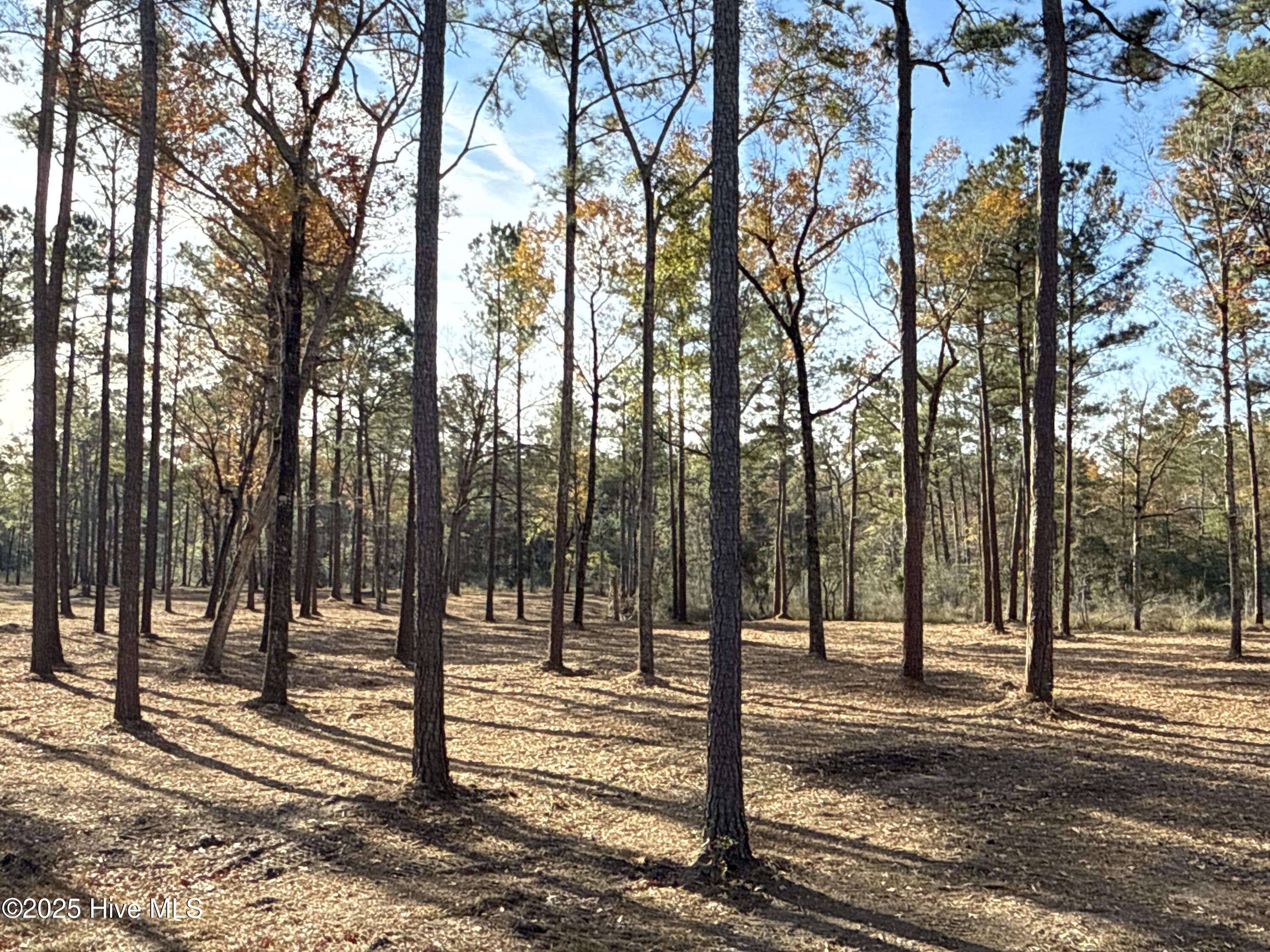 0 Norfleet Shores Road Belhaven, NC 27810 - Photo 10 of 39 IMG_0810 2