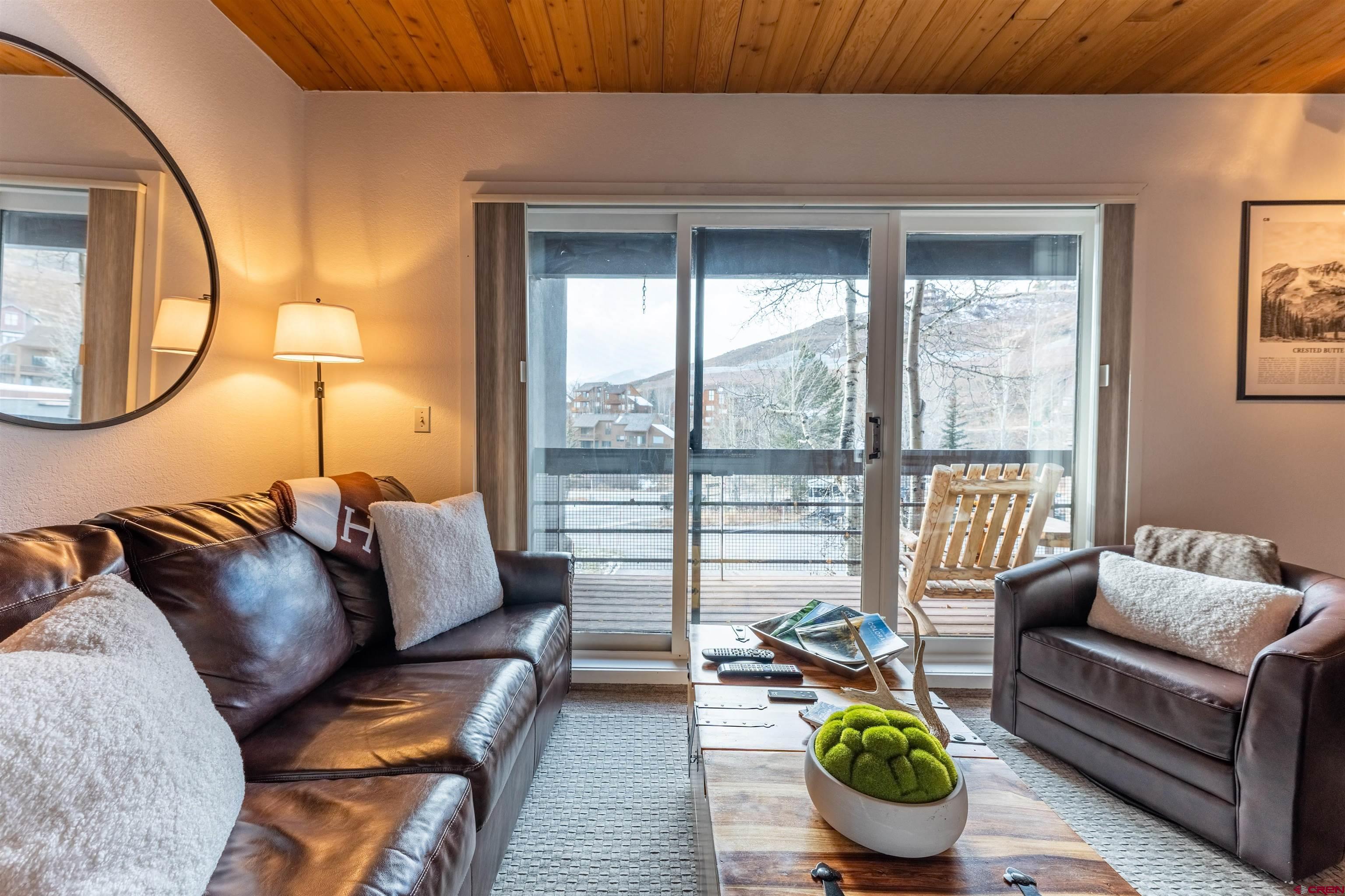 400 Gothic Road, Unit 203 Crested Butte, CO 81225 - Photo 9 of 17 Gallery Image 9
