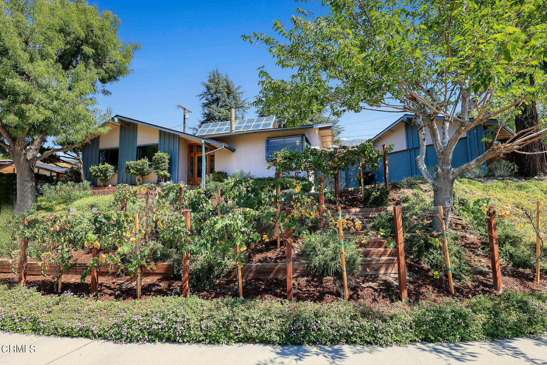 3451 Brookhill Street Glendale, CA 91214 - Photo 8 of 65 front view of a house with a tree