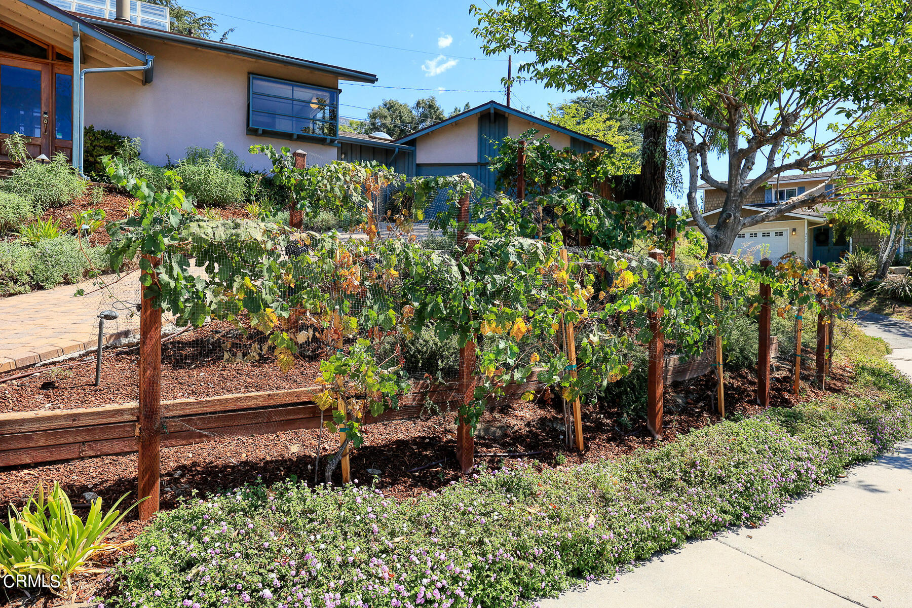 3451 Brookhill Street Glendale, CA 91214 - Photo 9 of 65 a view of a garden with a bench