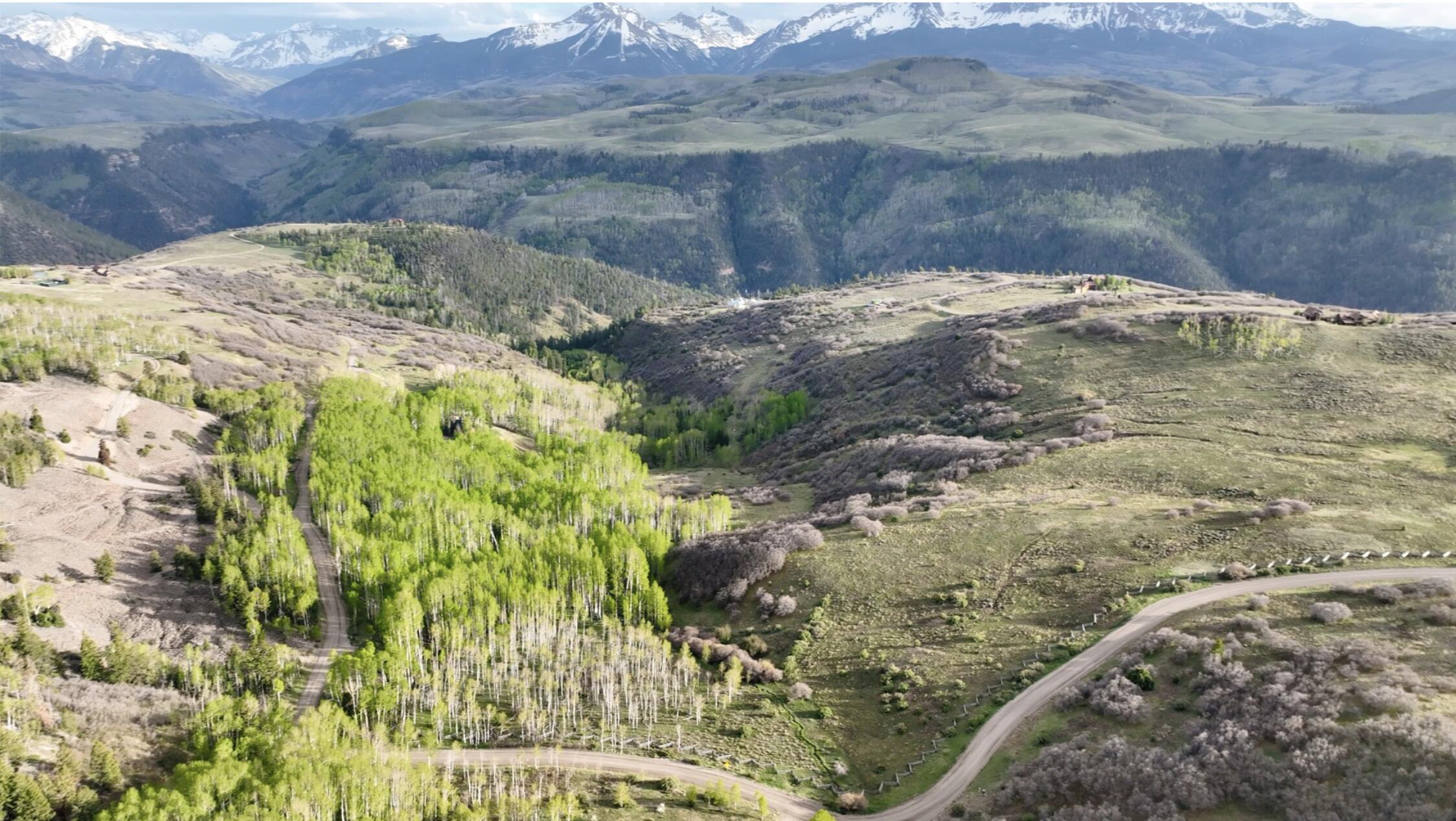 Tbd Last Dollar Road Telluride, CO 81435 - Photo 11 of 19 a view of wooden floor