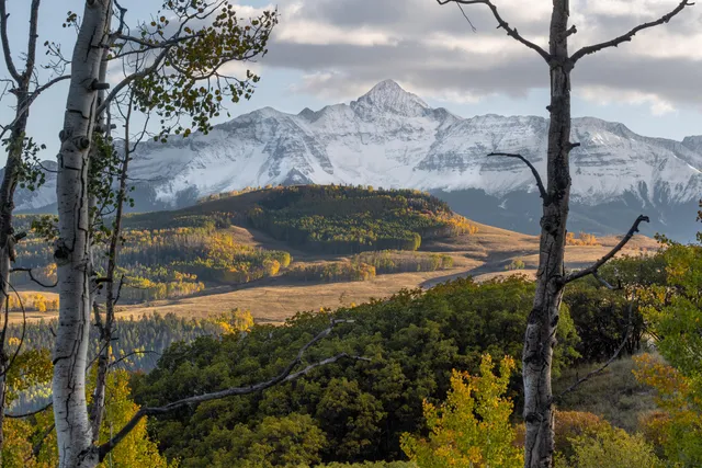 a view of a backyard of the house