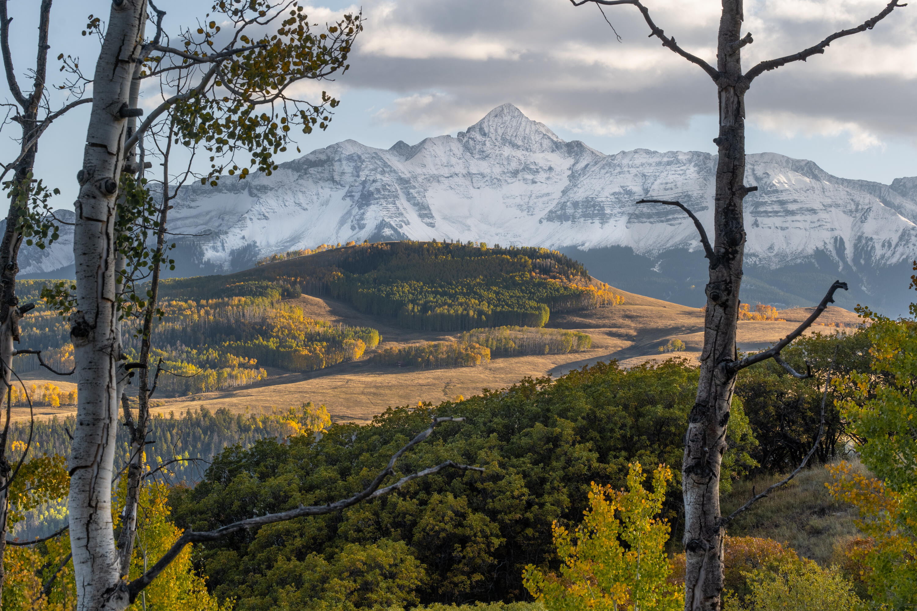 Tbd Last Dollar Road Telluride, CO 81435 - Photo 4 of 19 a view of a backyard of the house