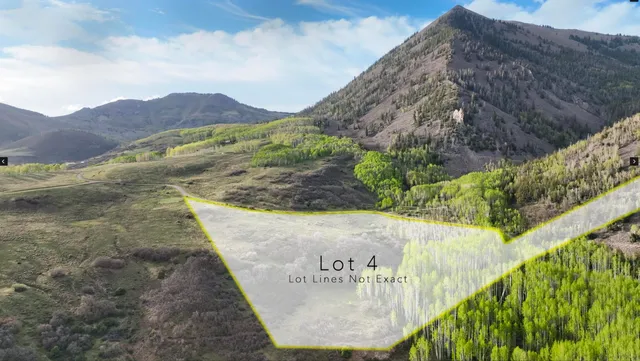 a view of a swimming pool with a yard