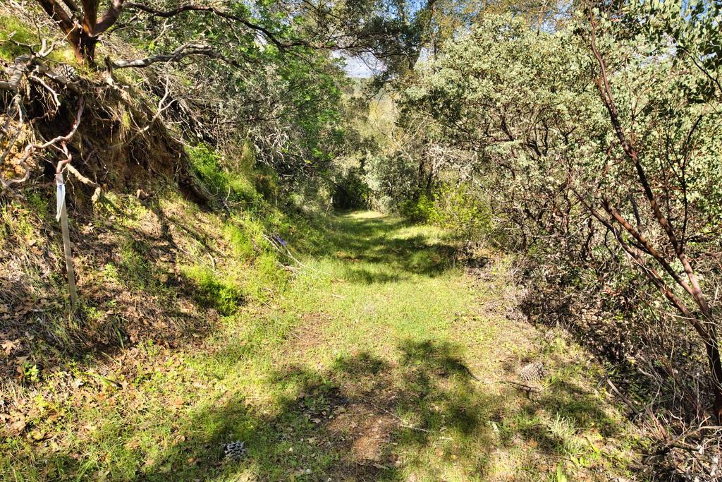 15805 Uvas Road Morgan Hill, CA 95037 - Photo 25 of 41