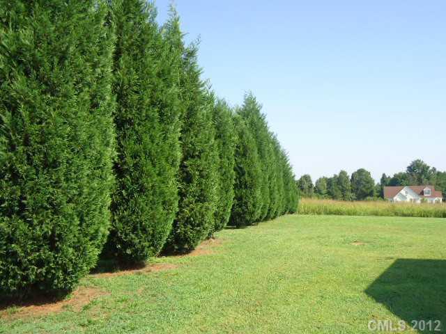 4458 Long Ferry Road, Unit 17 Salisbury, NC 28146 - Photo 3 of 16 Gallery Image 3