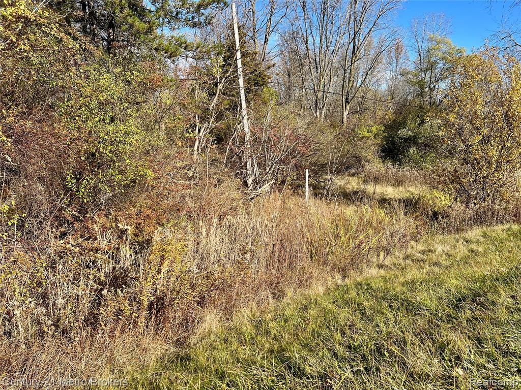 0 North Corunna Road Flint, MI 48473 - Photo 1 of 3