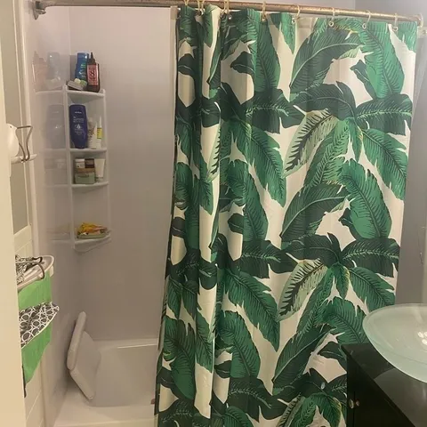 a close up of a plant in a pot